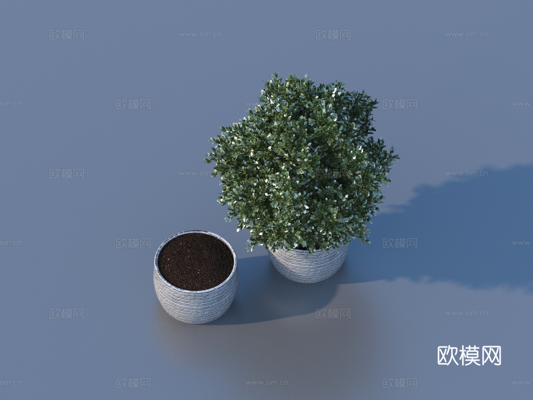 花盆 盆栽 绿植 植物3d模型下载