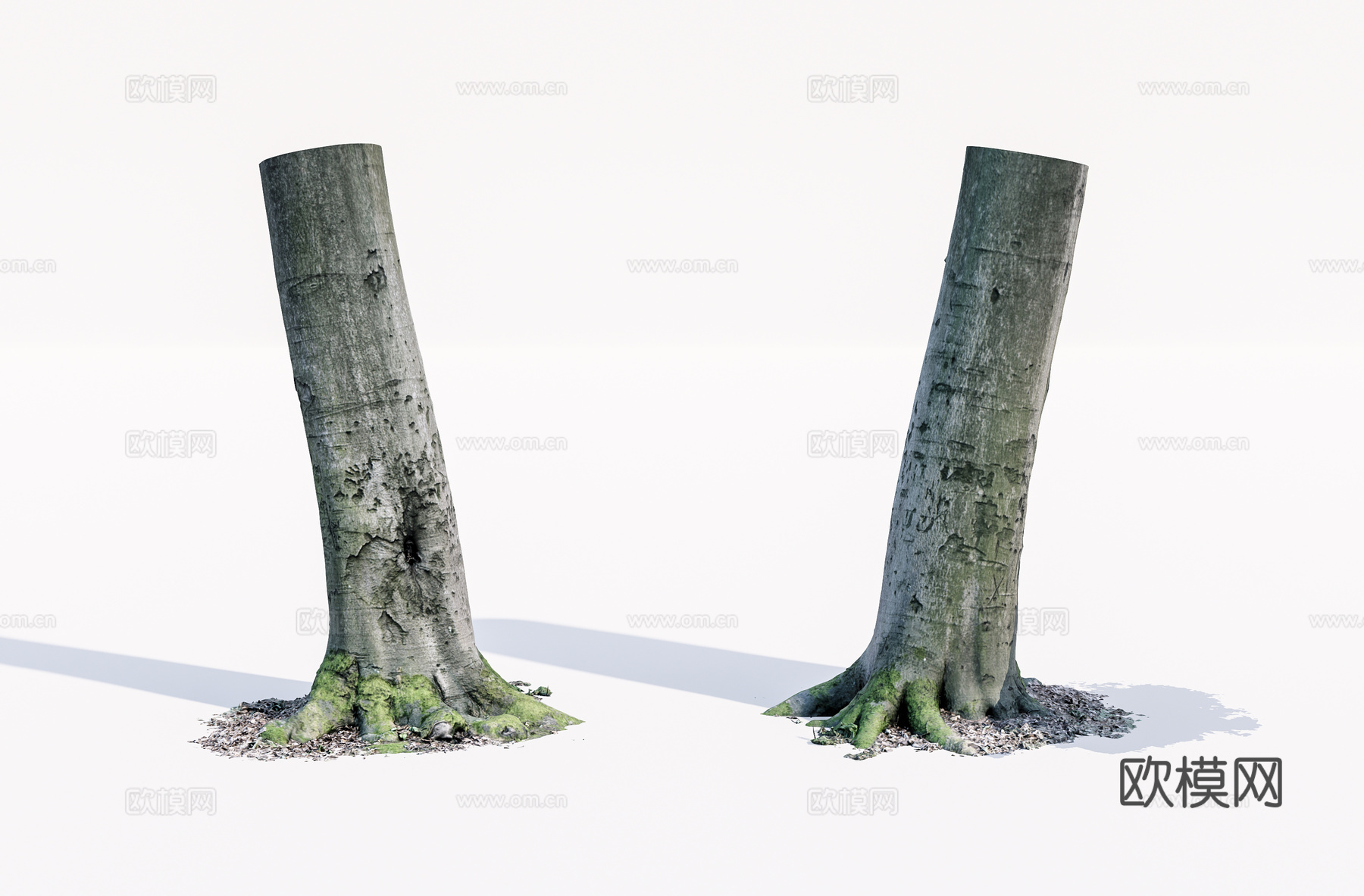 枯木 枯树su模型