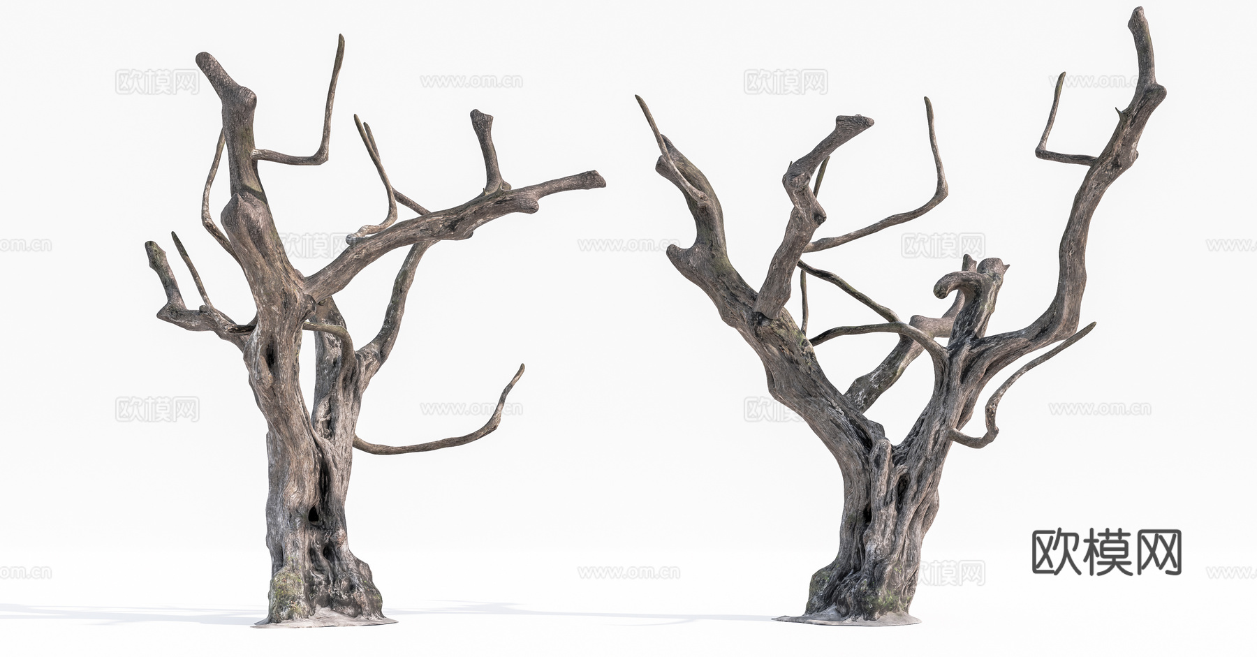 枯木su模型