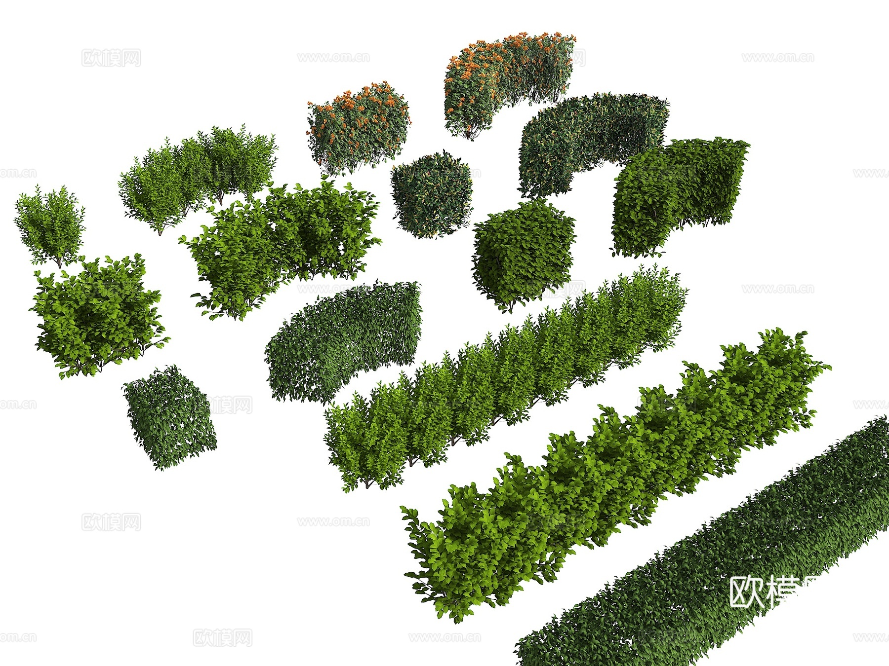 灌木 灌木丛 植被 弧形灌木 绿篱绿化带 植物墙su模型