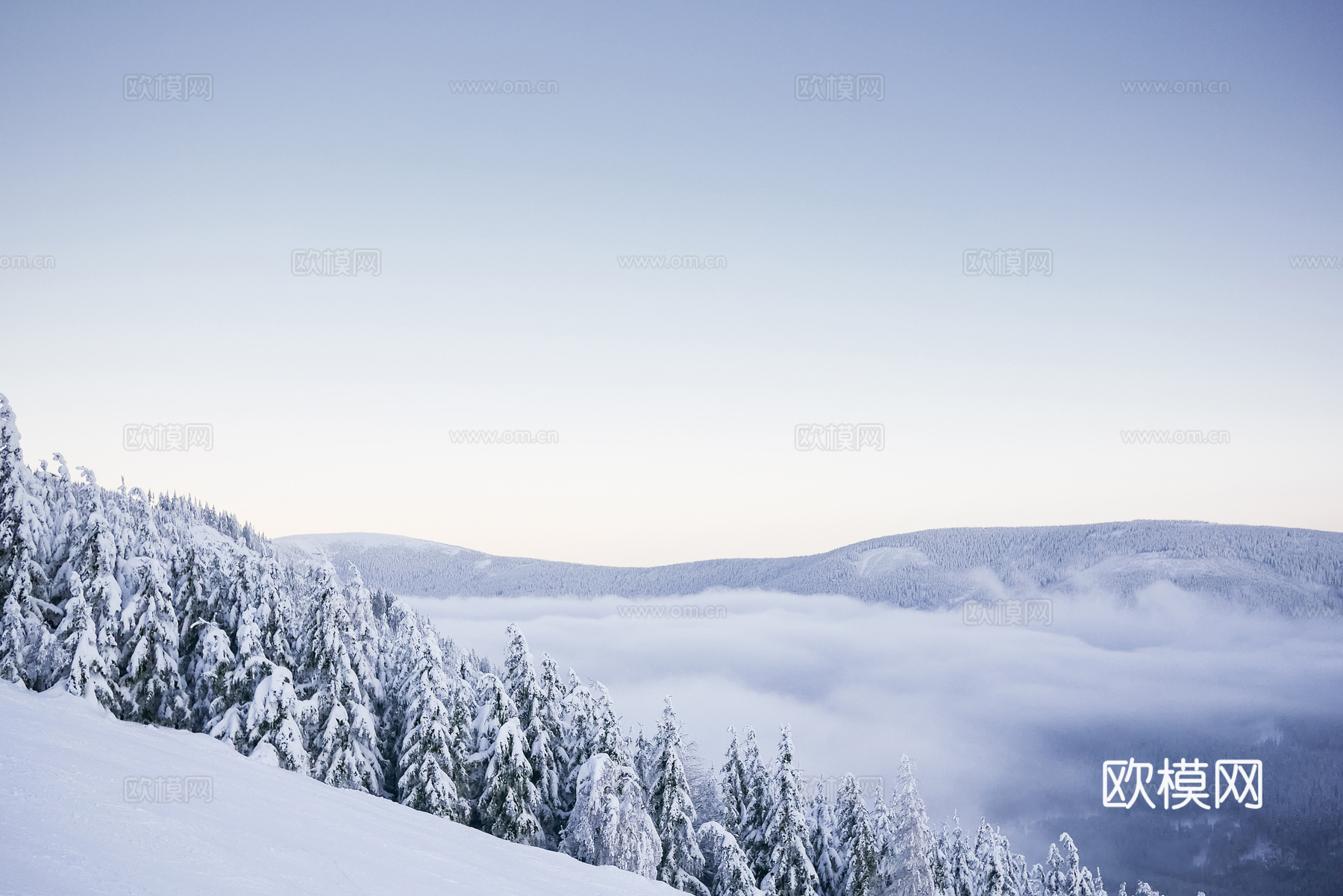 户外森林冬季雪景