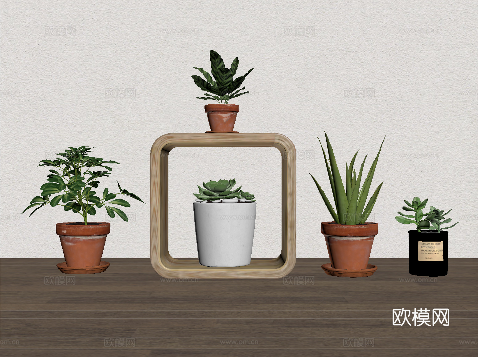 现代盆栽 室内植物盆su模型