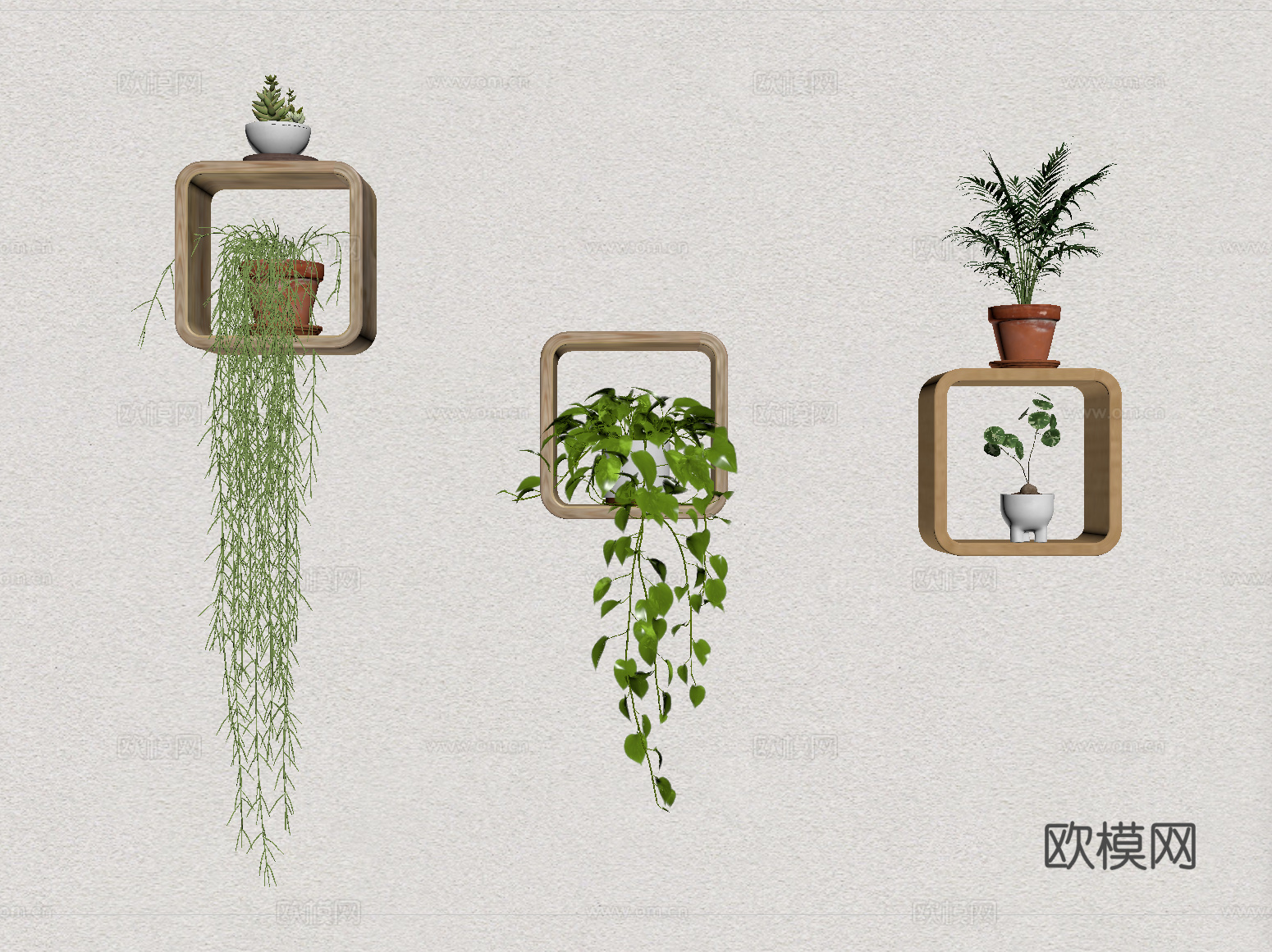 盆栽植物 小绿植吊兰su模型