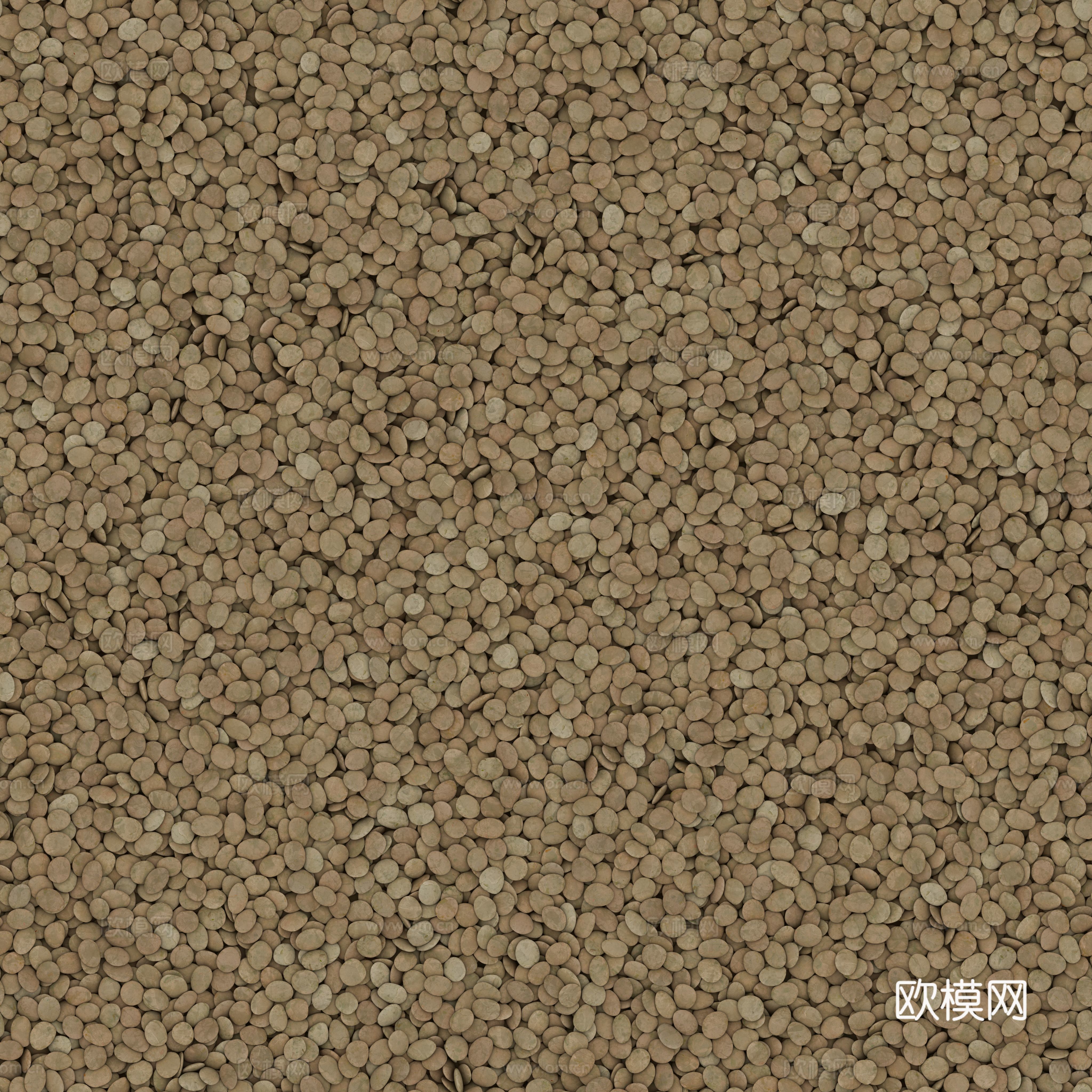 现代砾石地面铺装