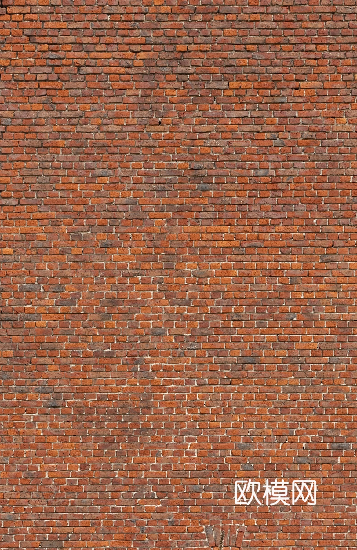 现代红砖外墙砖墙