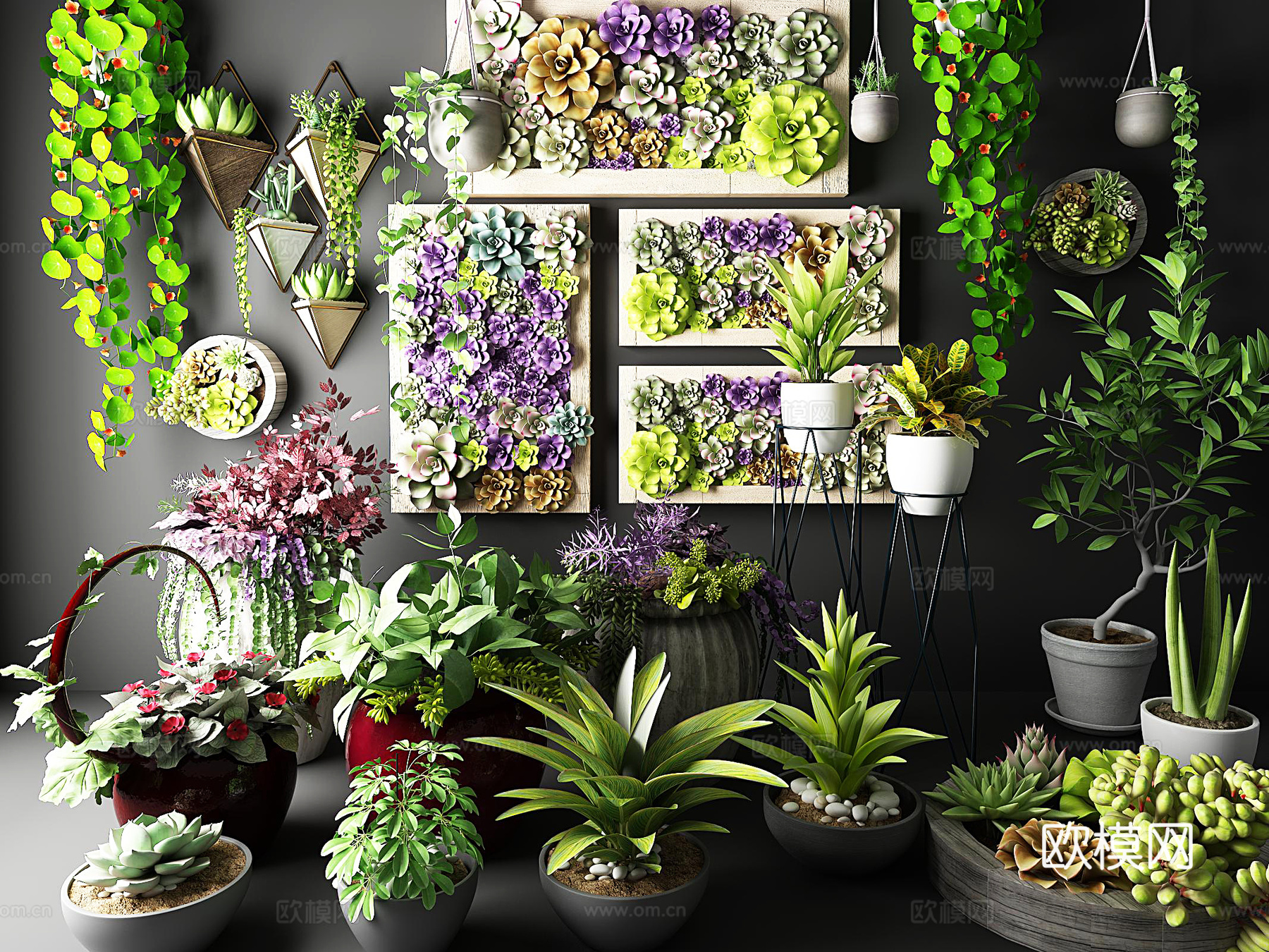 现代植物盆栽多肉 画框 花草绿植吊兰3d模型下载