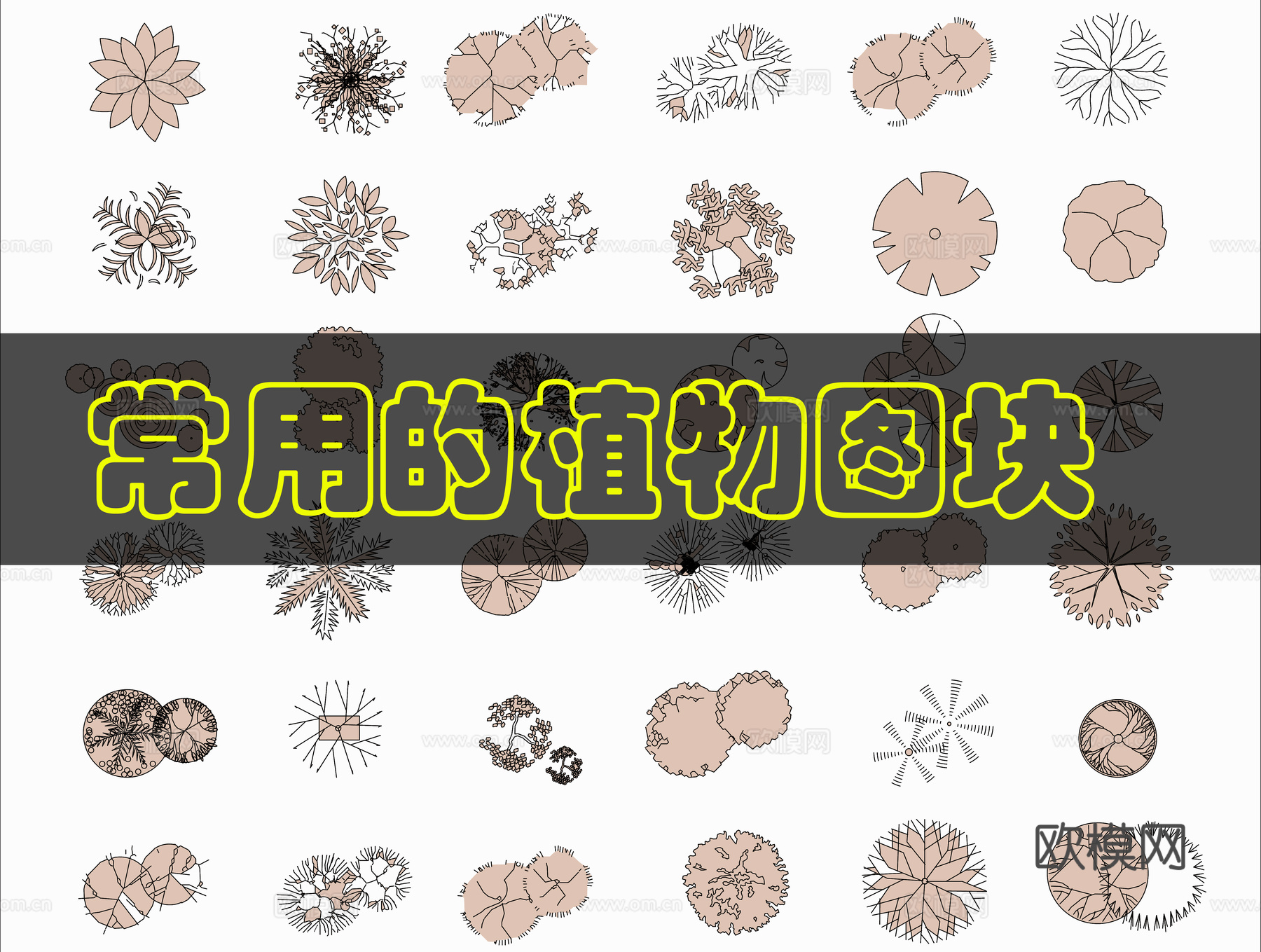 植物平面CAD图块cad施工图