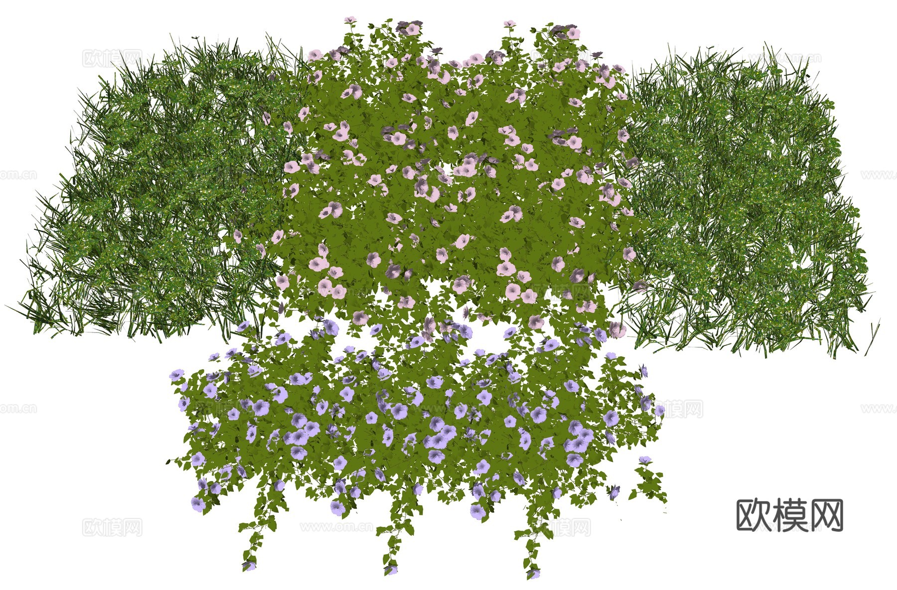 现代花卉植物su模型
