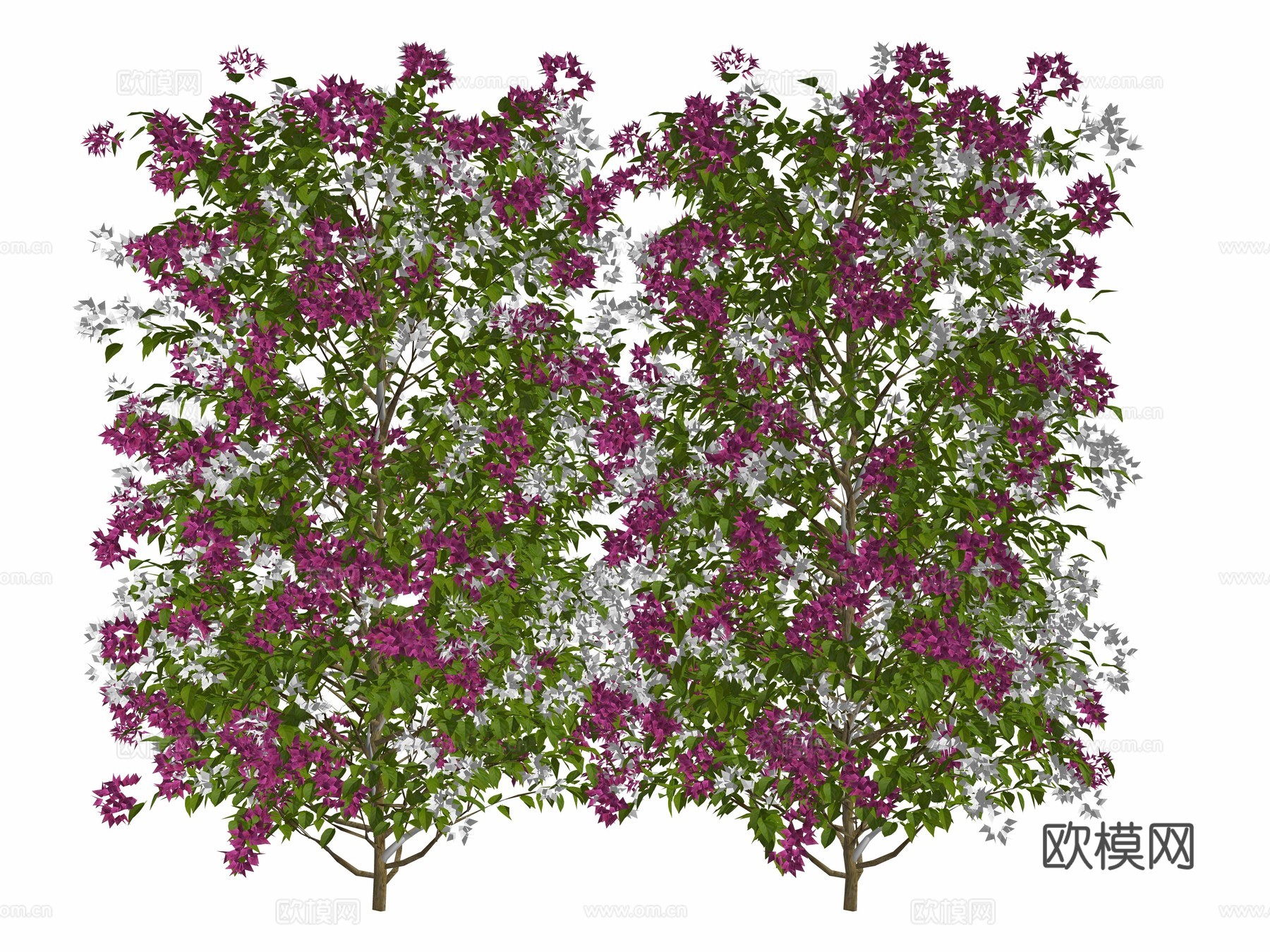 现代庭院植物su模型
