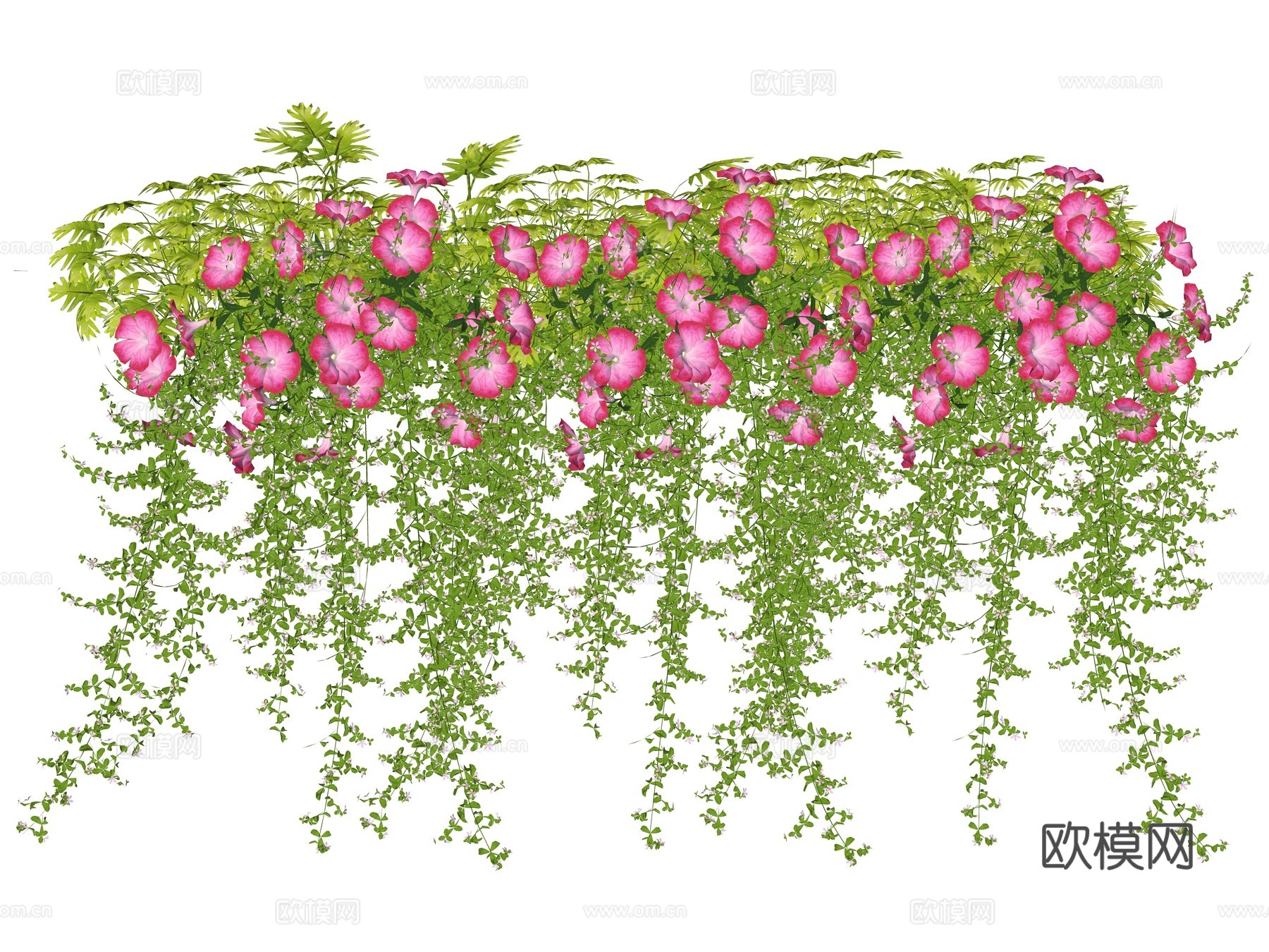 现代花卉植物su模型