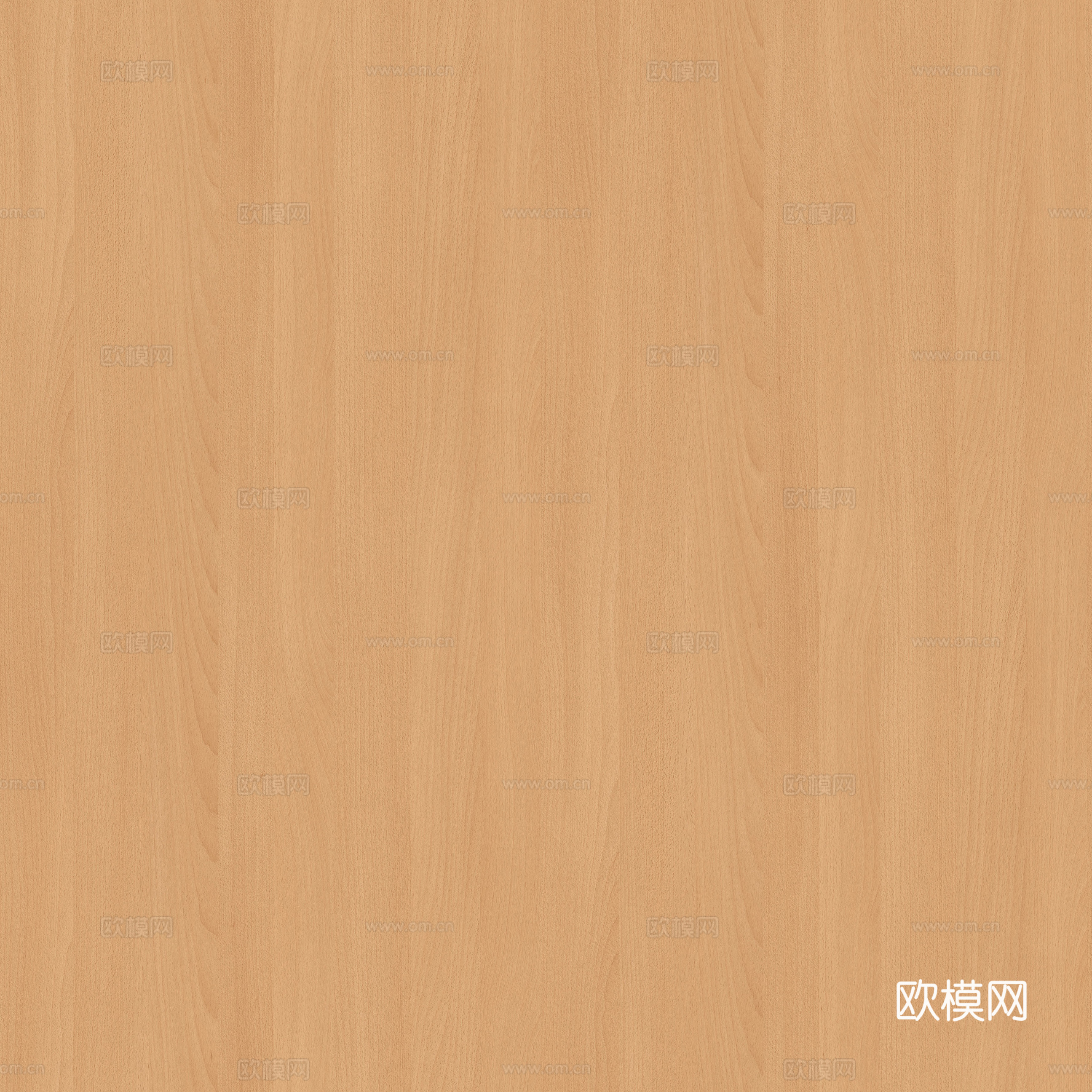 无缝浅色柚木木纹木饰面