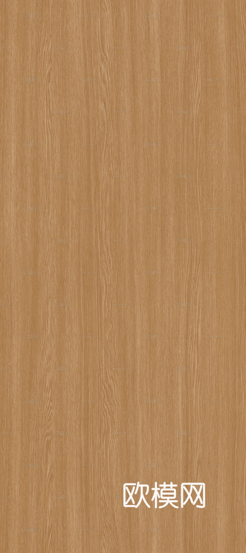 无缝橡木木纹