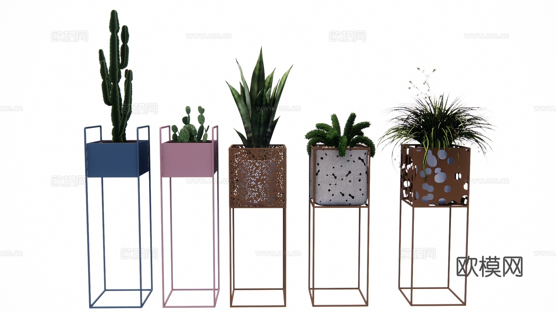 组团 造景 室内造景 灌木 乔木su模型