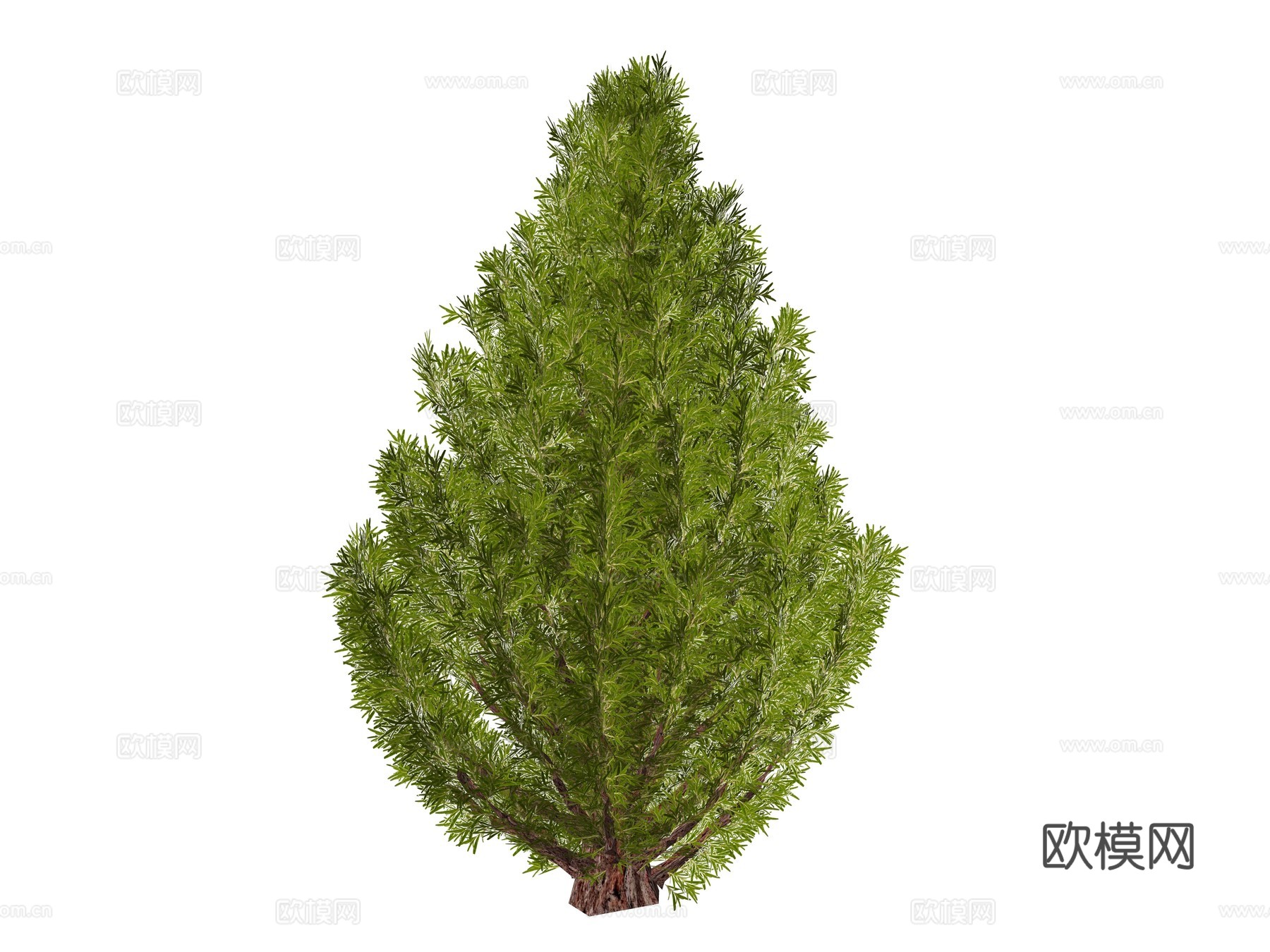 现代庭院植物su模型