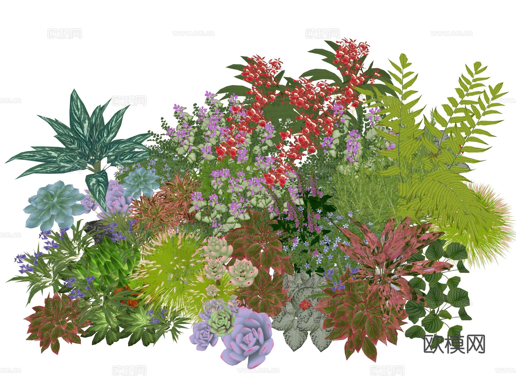 现代庭院景观植物组合su模型