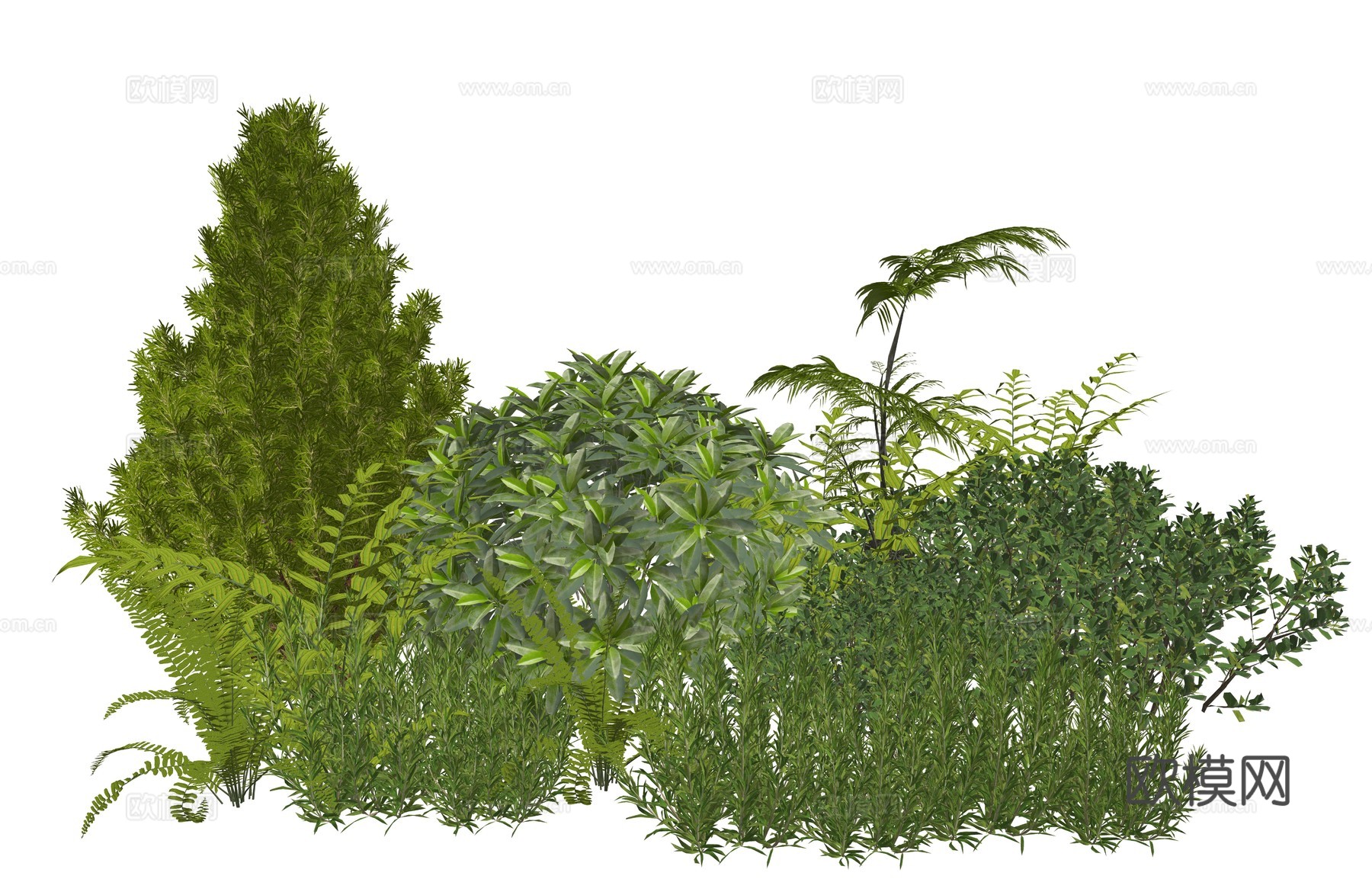 现代庭院景观植物组合su模型