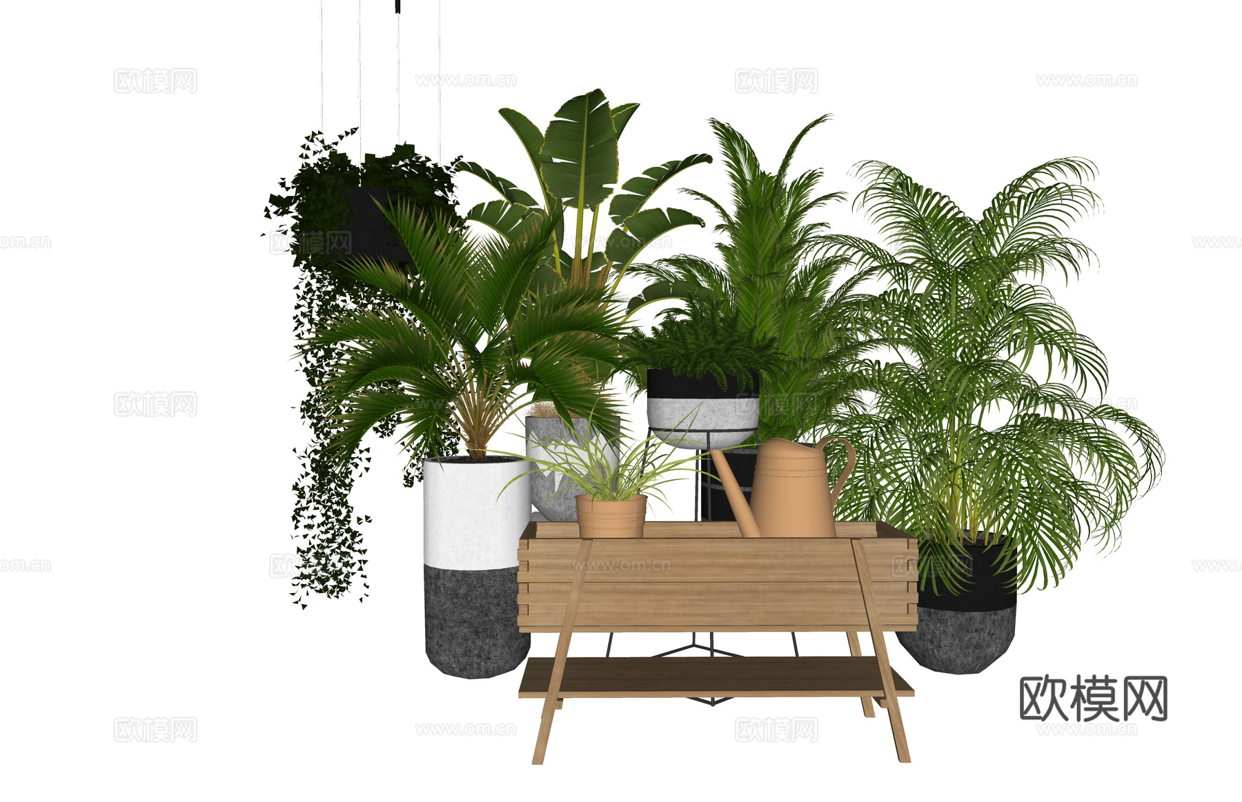 植物 灌木 组团 造景 室外造景 乔木su模型