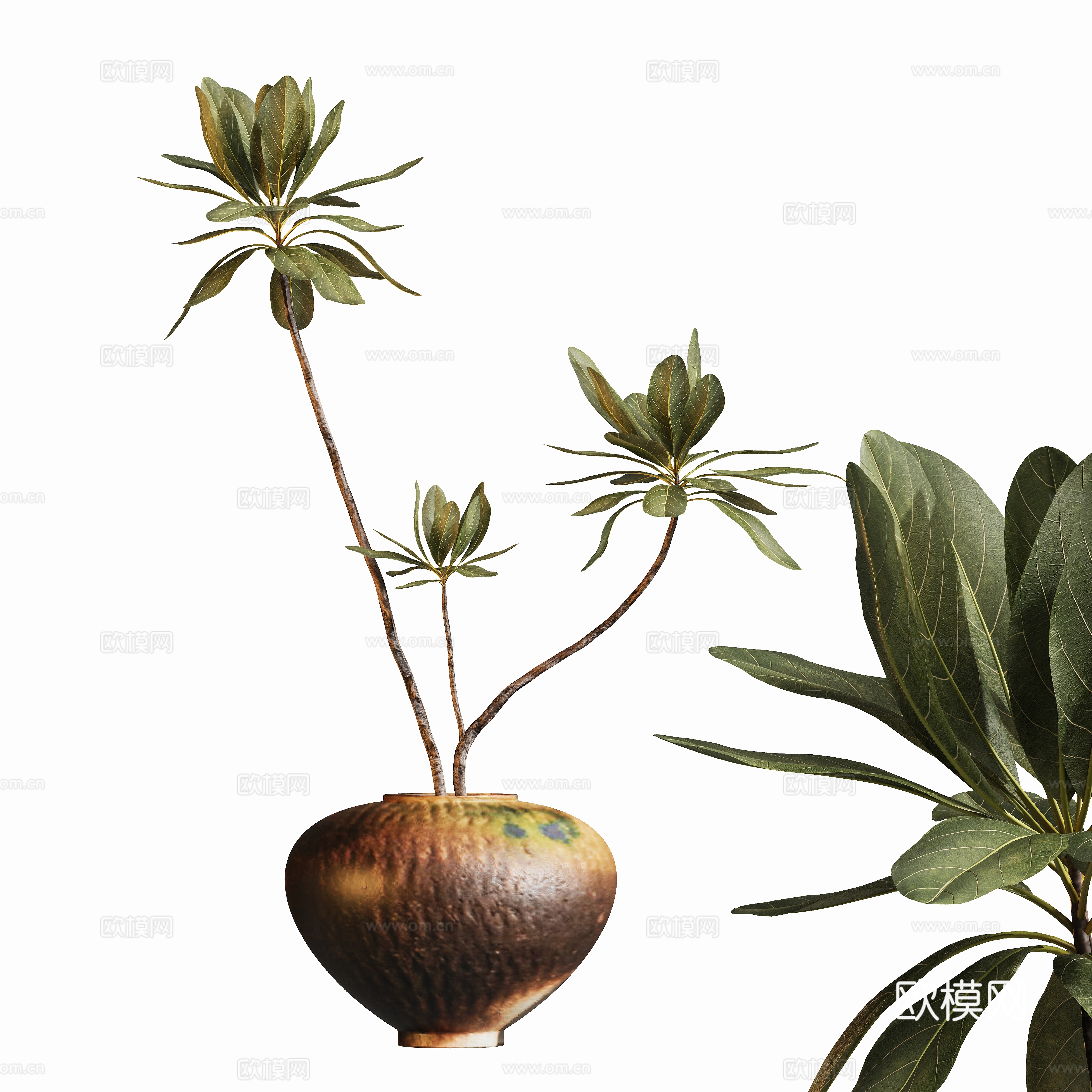 现代中古花瓶盆栽植物摆件su模型