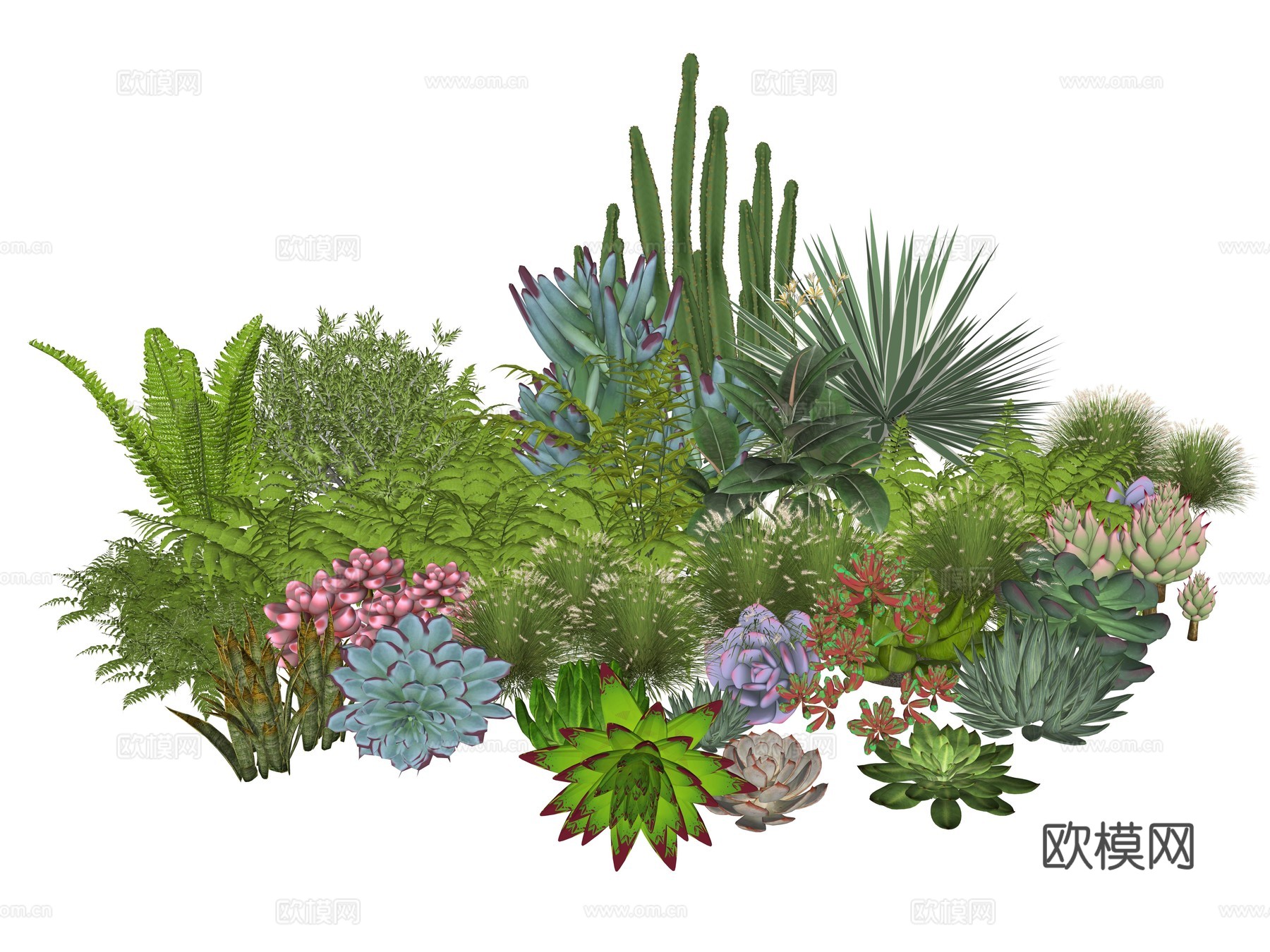 现代庭院植物堆景观组合su模型