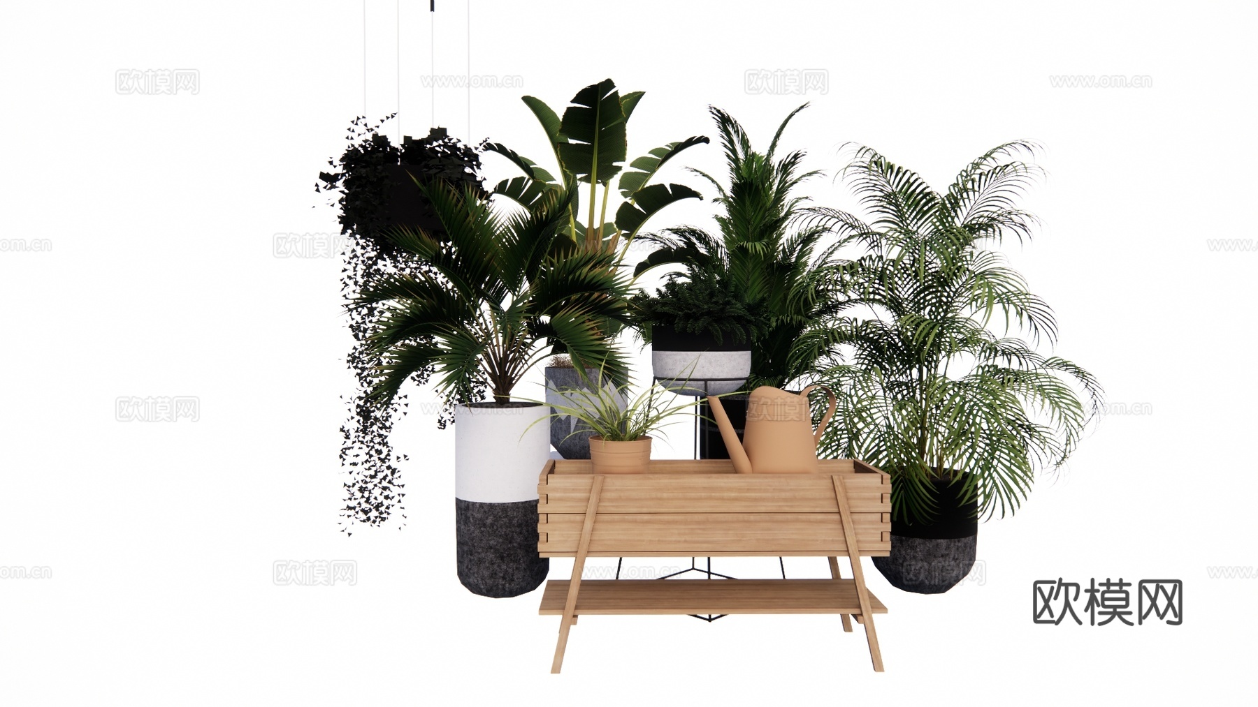 植物 灌木 组团 造景 室外造景 乔木su模型