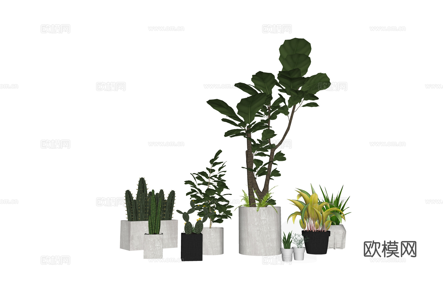 植物 灌木 组团 造景 室外造景 乔木su模型