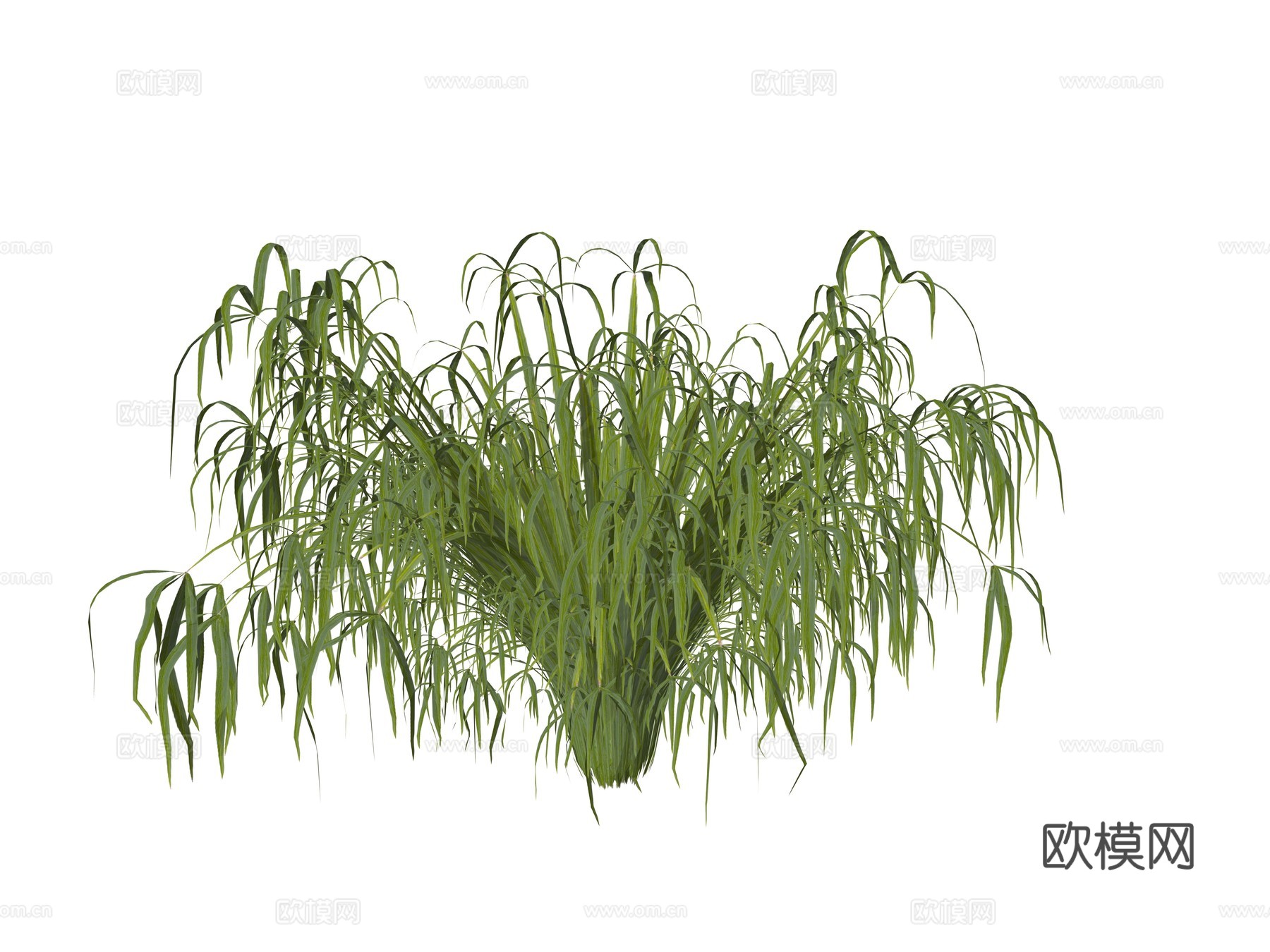 现代庭院植物su模型