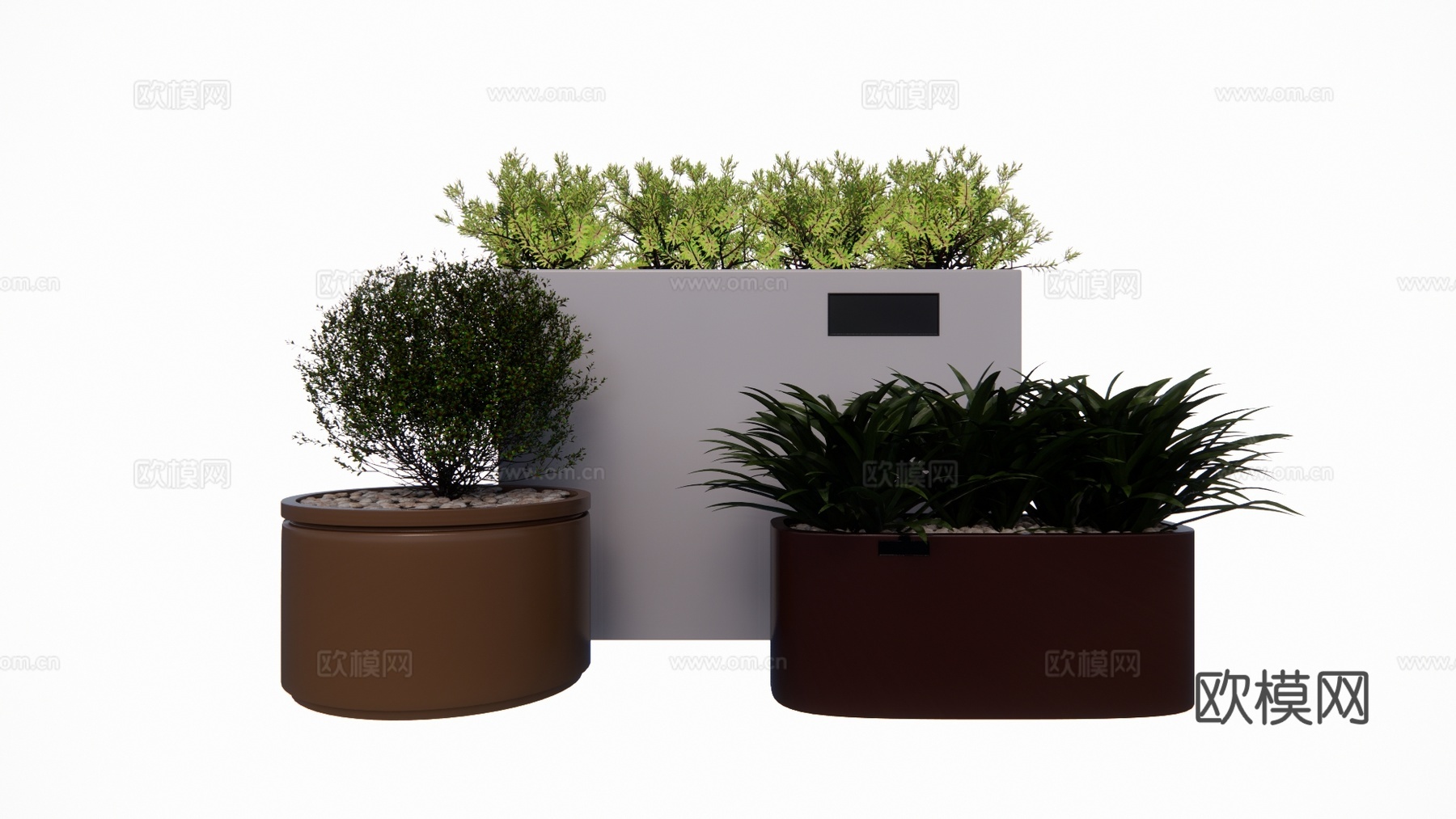 组团 景观 灌木 造景 室外造景 植物 室内造景su模型