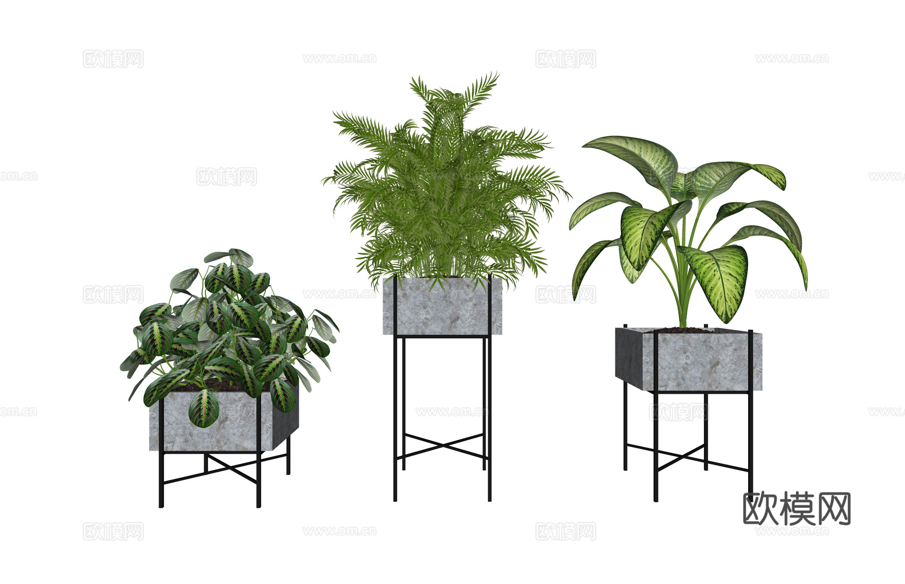 组团 景观 灌木 造景 室外造景 植物 室内造景su模型