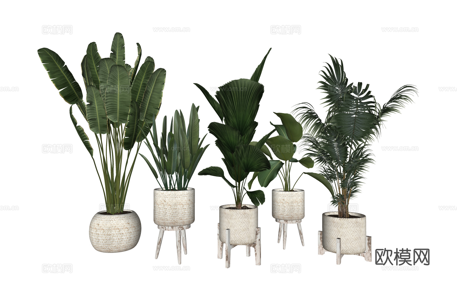 组团 景观 灌木 造景 室外造景 植物 室内造景su模型