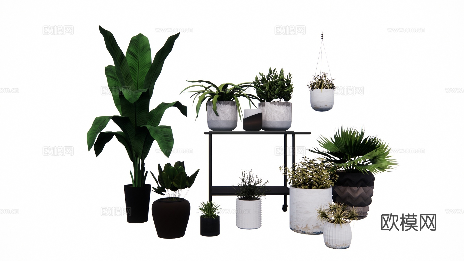 组团 景观 灌木 造景 室外造景 植物 室内造景su模型