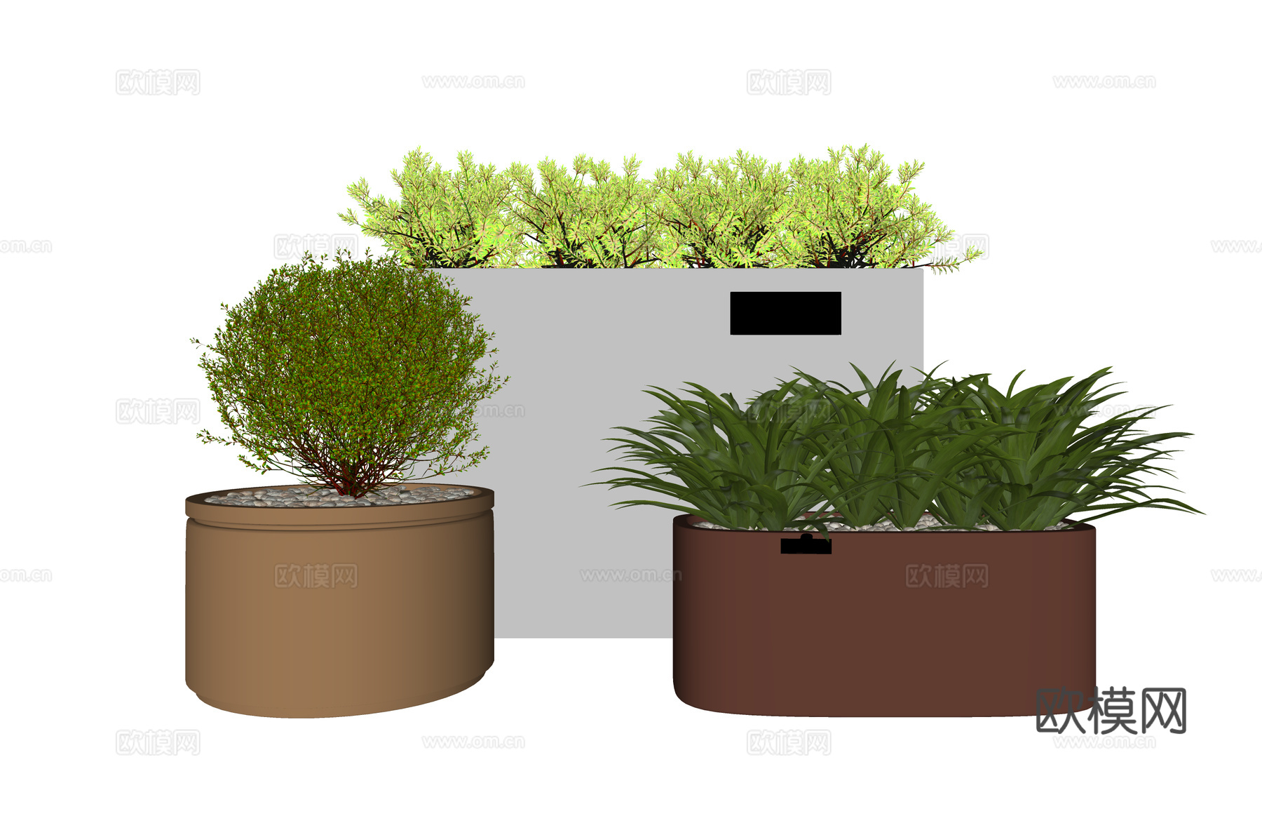 组团 景观 灌木 造景 室外造景 植物 室内造景su模型
