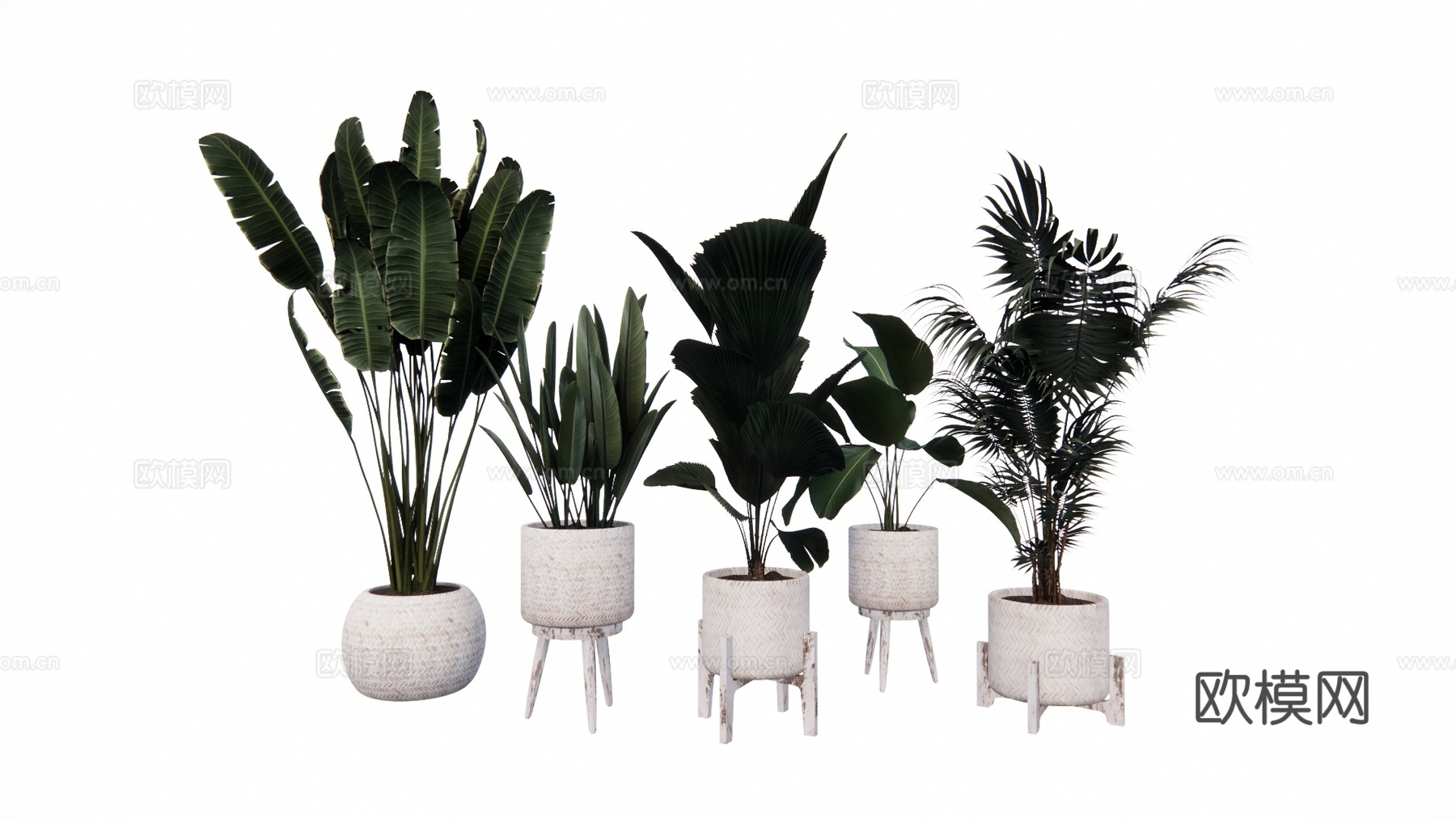 组团 景观 灌木 造景 室外造景 植物 室内造景su模型