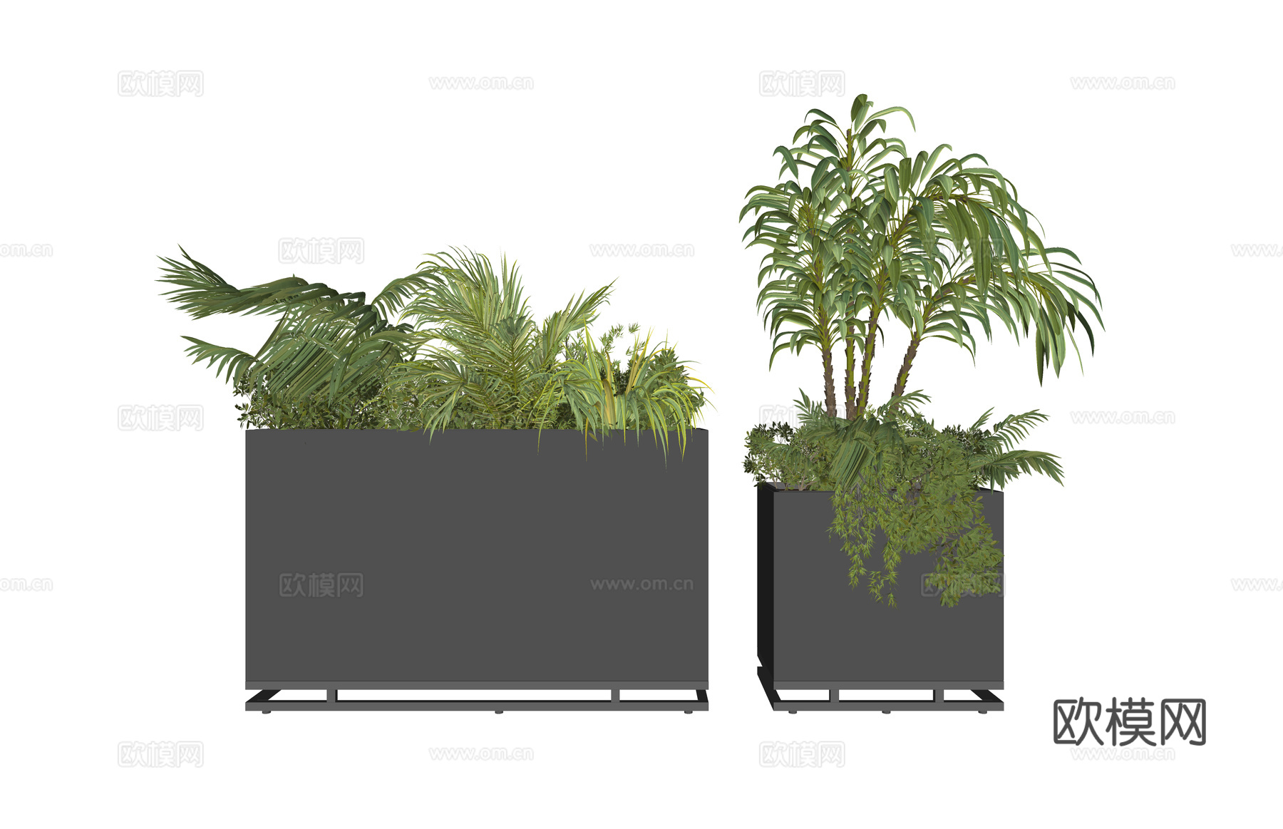 组团 景观 灌木 造景 室外造景 植物 室内造景su模型