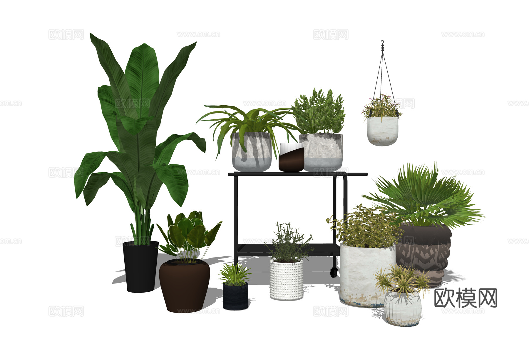 组团 景观 灌木 造景 室外造景 植物 室内造景su模型