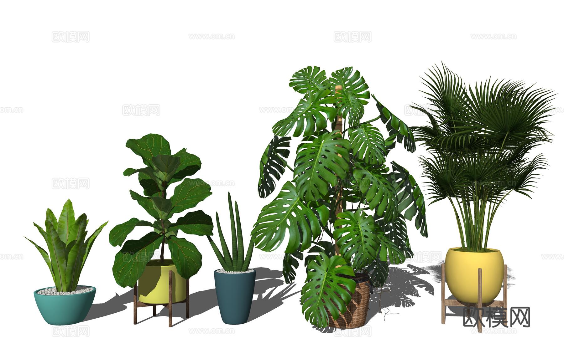 组团 景观 灌木 造景 室外造景 植物 室内造景su模型