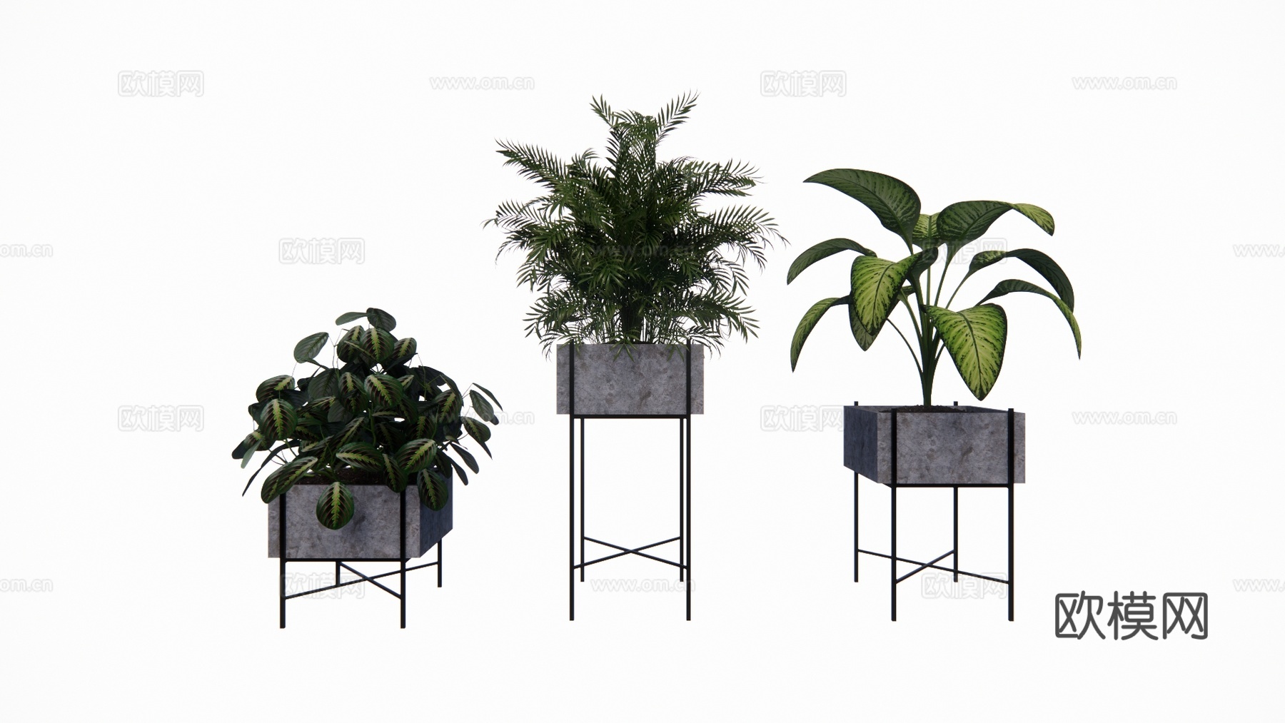 组团 景观 灌木 造景 室外造景 植物 室内造景su模型