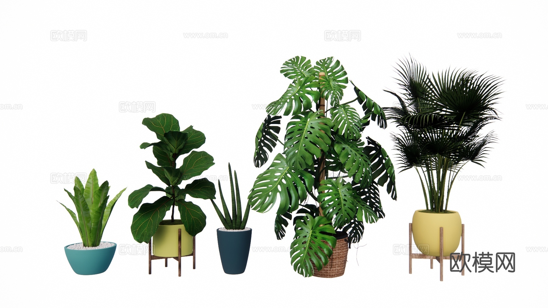 组团 景观 灌木 造景 室外造景 植物 室内造景su模型