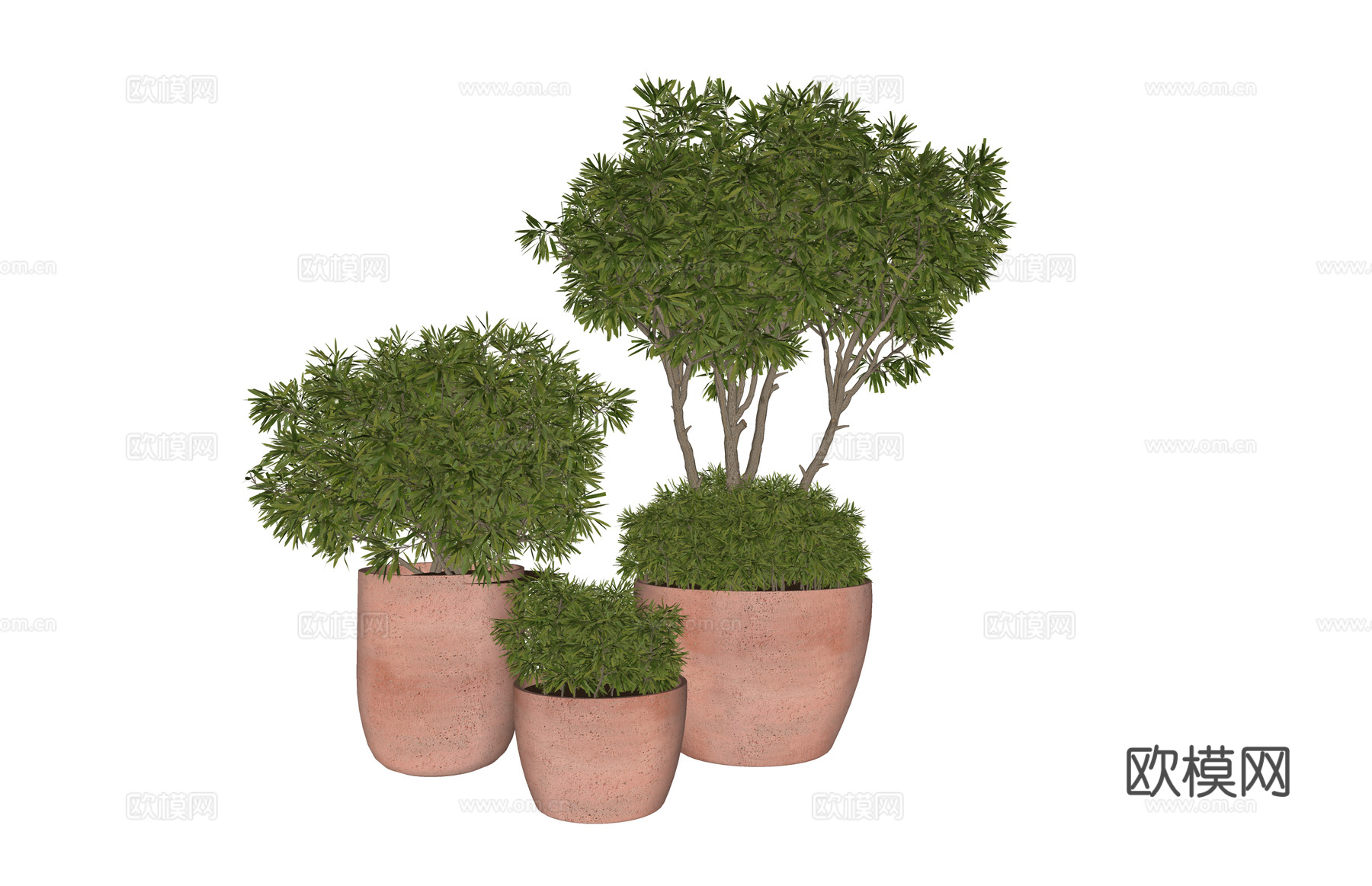 组团 景观 灌木 造景 室外造景 植物 室内造景su模型