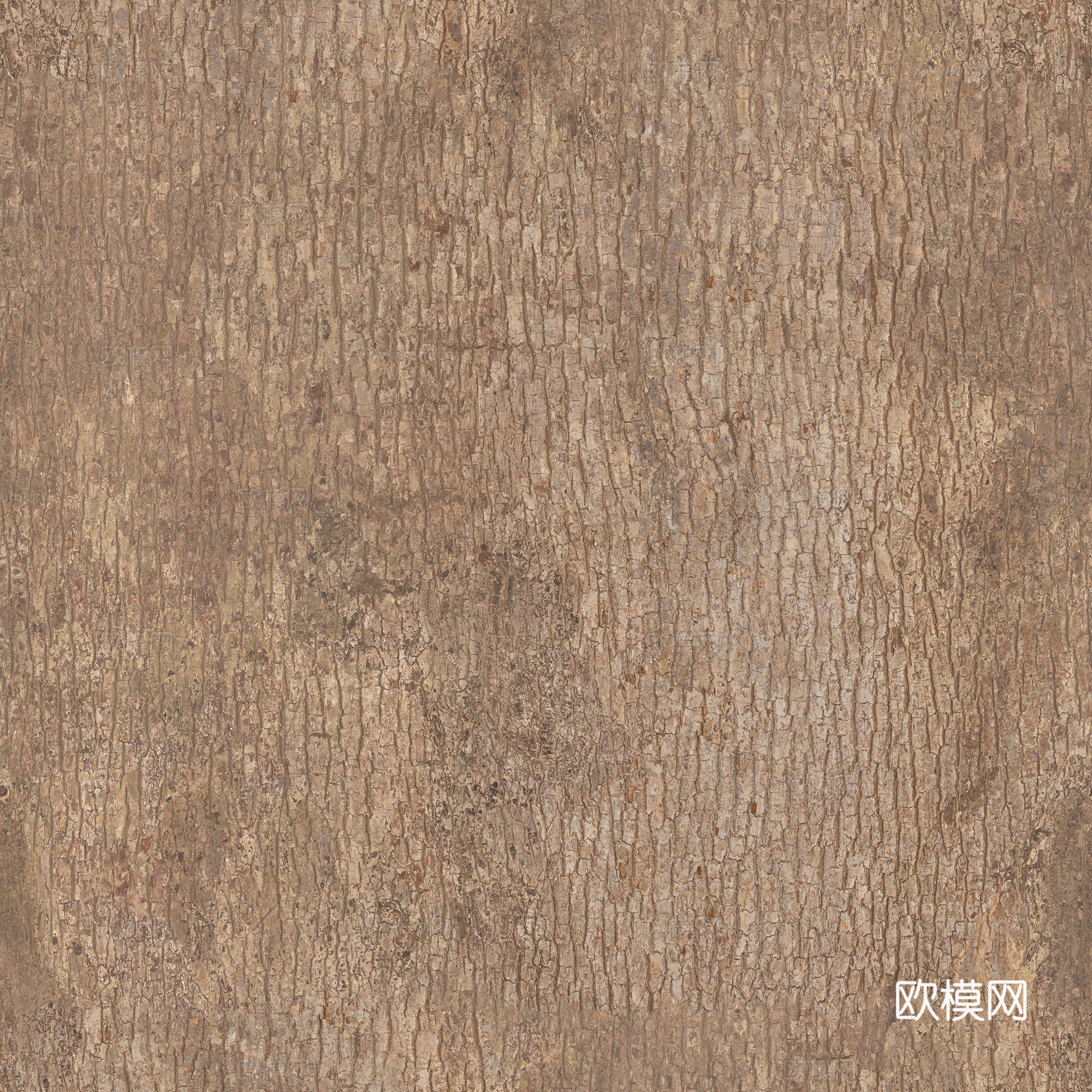 现代无缝树皮贴图
