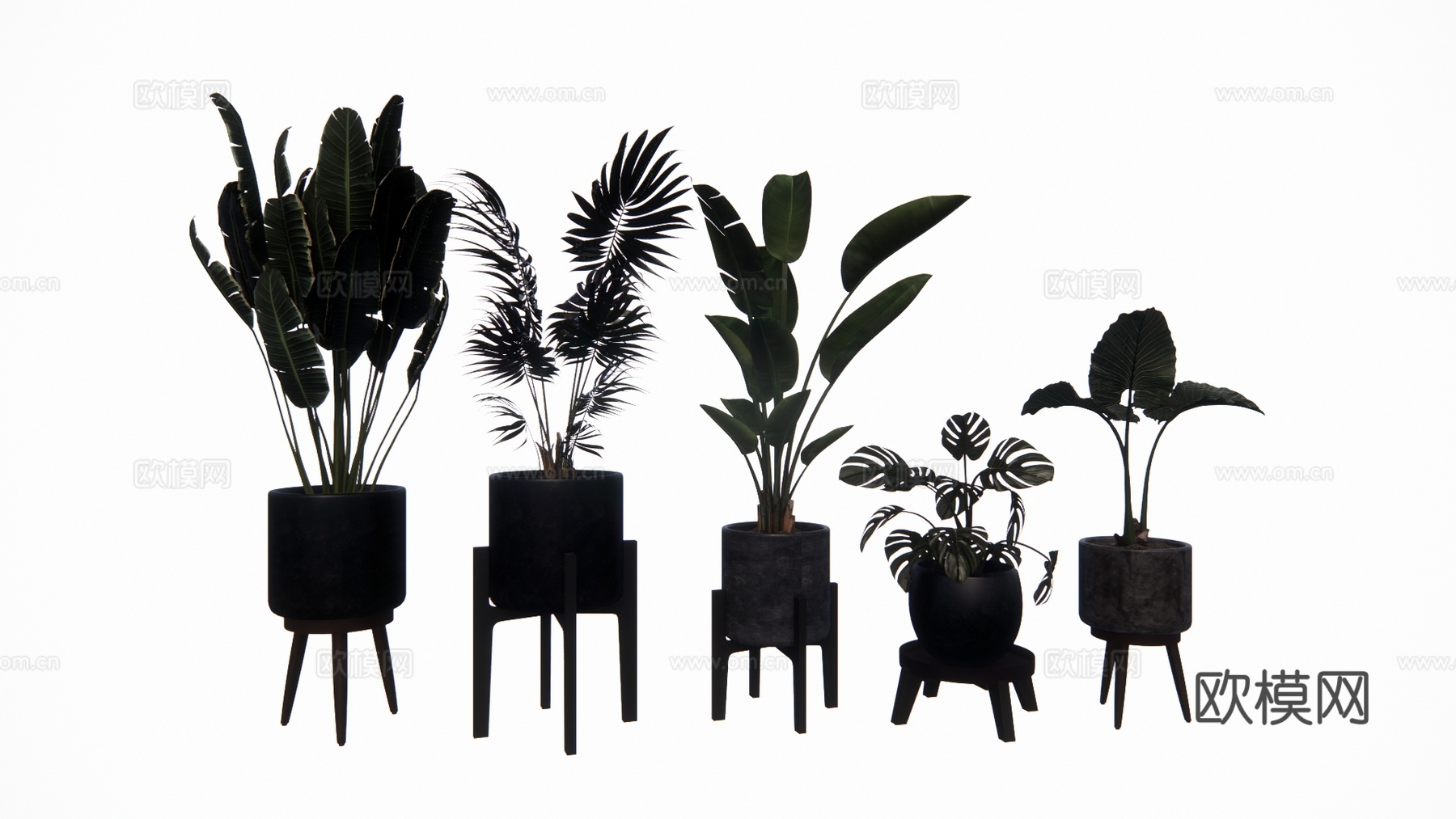 植物 乔木 花镜 室外造景 造景 灌木su模型