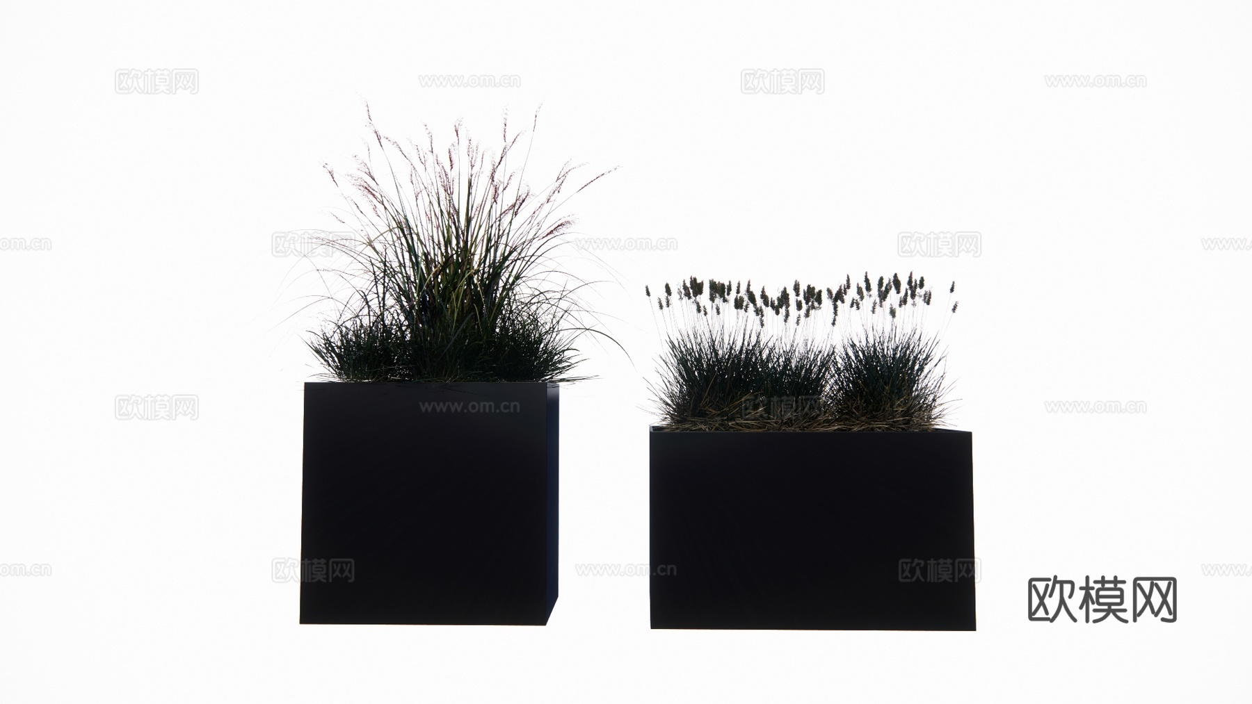 植物 乔木 花镜 室外造景 造景 灌木su模型