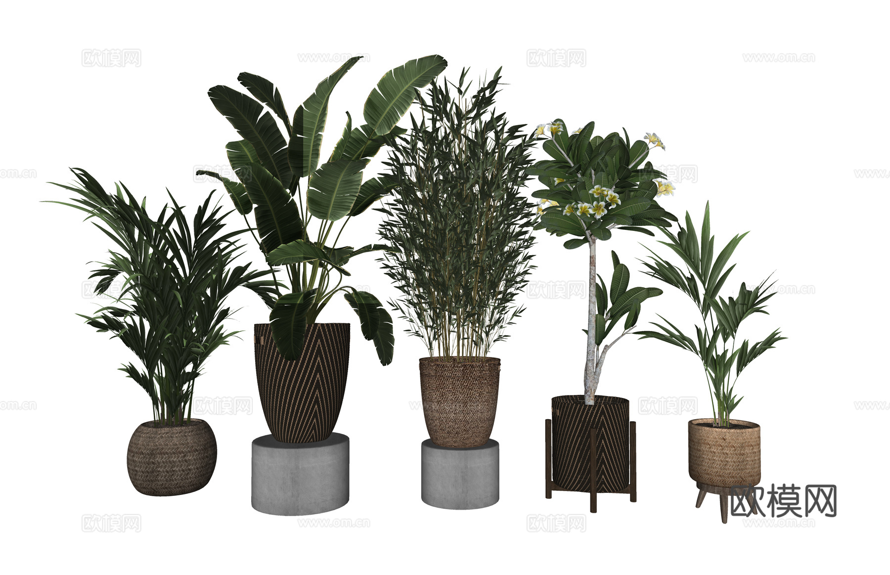 植物 乔木 花镜 室外造景 造景 灌木su模型