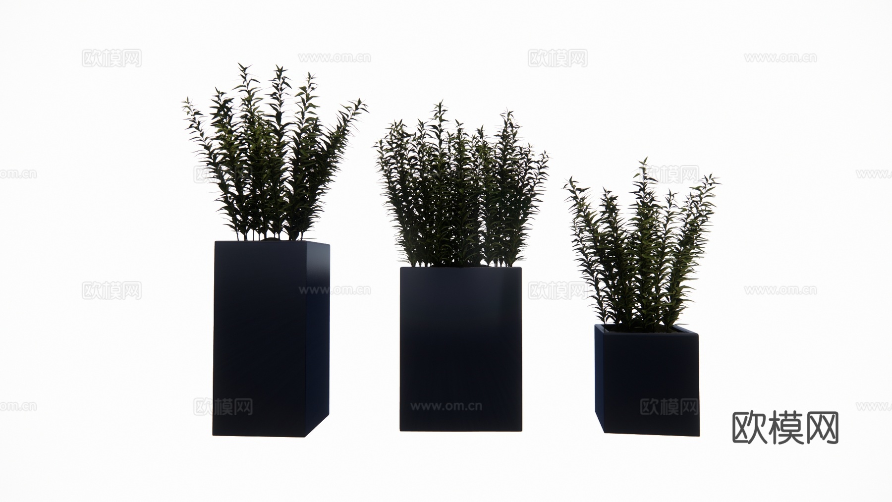 植物 乔木 花镜 室外造景 造景 灌木su模型