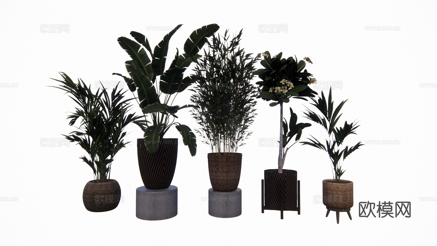 植物 乔木 花镜 室外造景 造景 灌木su模型