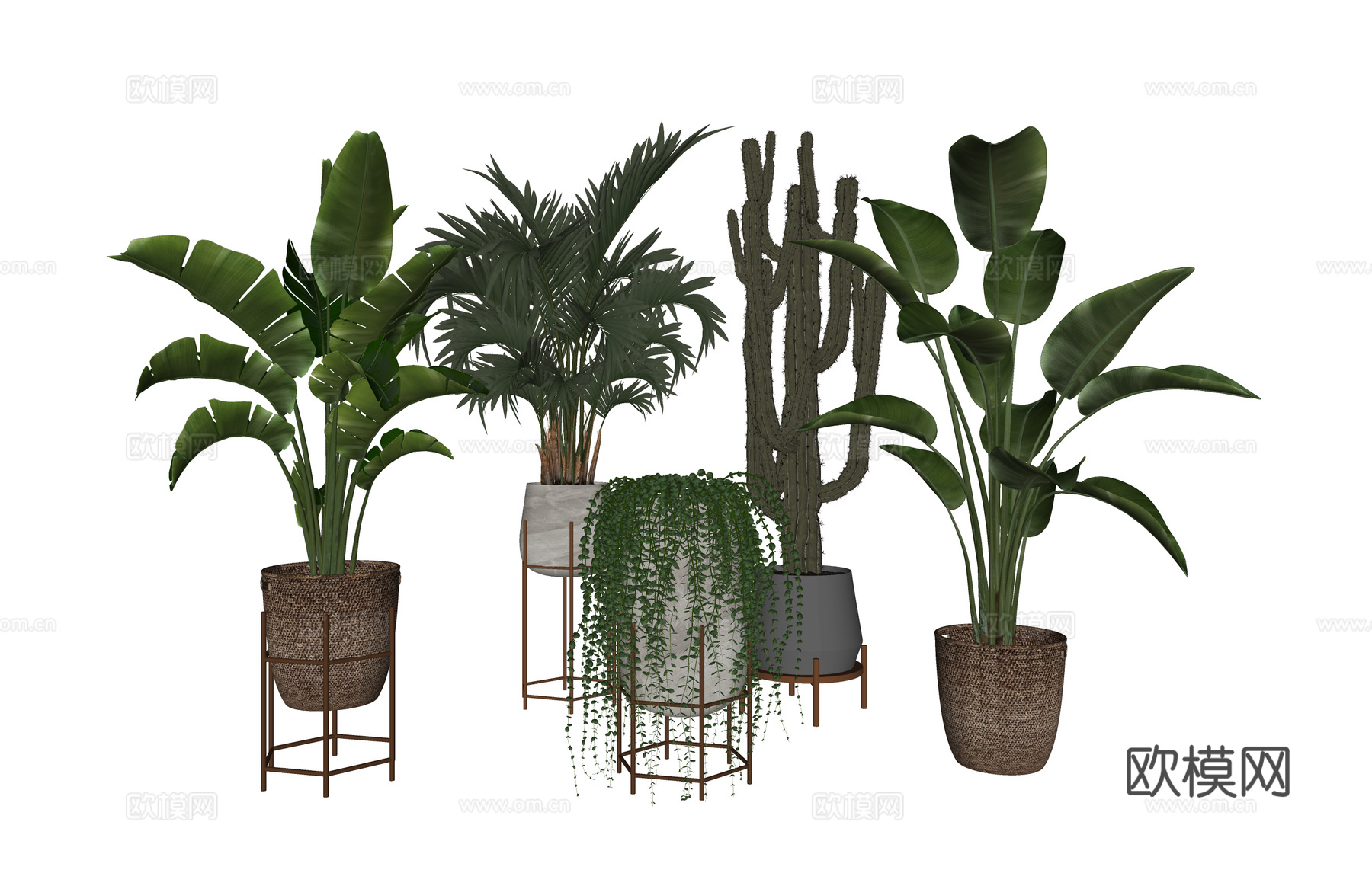 植物 乔木 花镜 室外造景 造景 灌木su模型