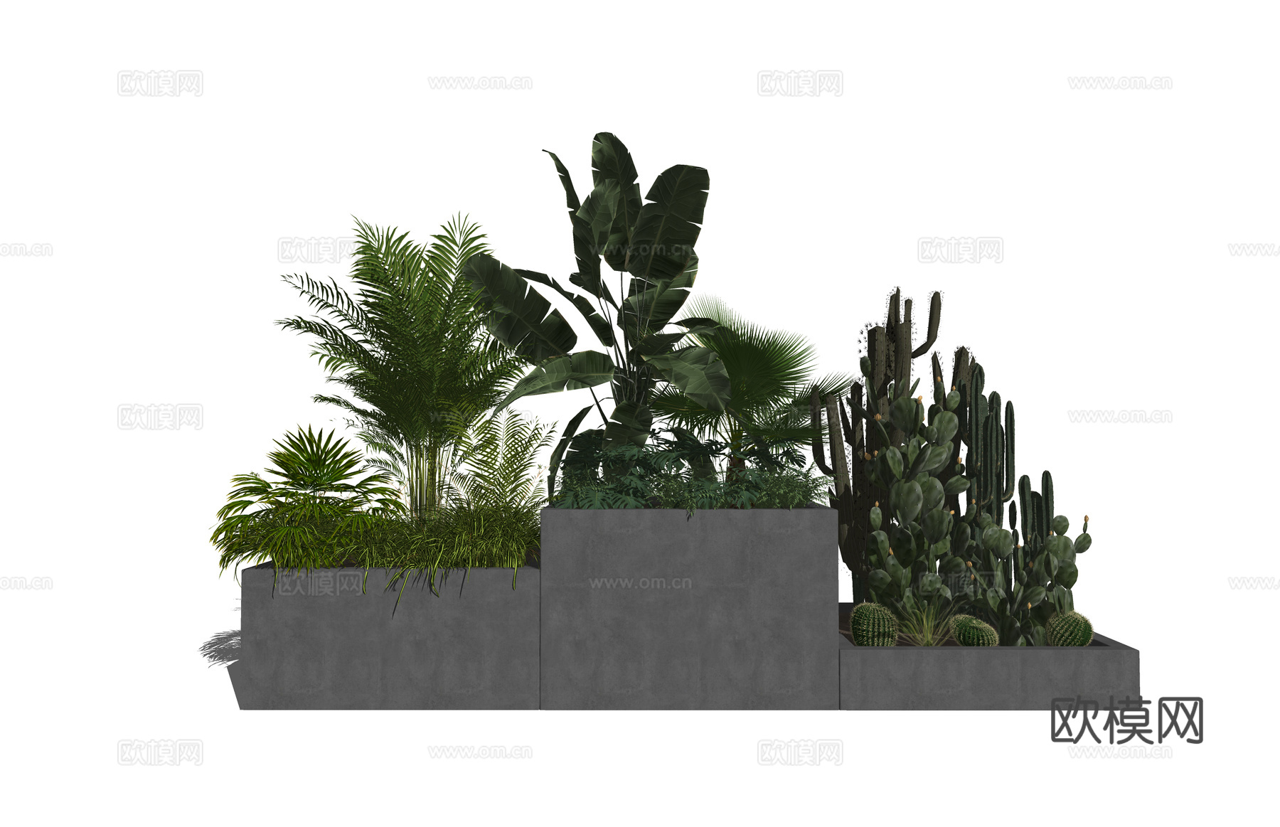 植物 乔木 花镜 室外造景 造景 灌木su模型