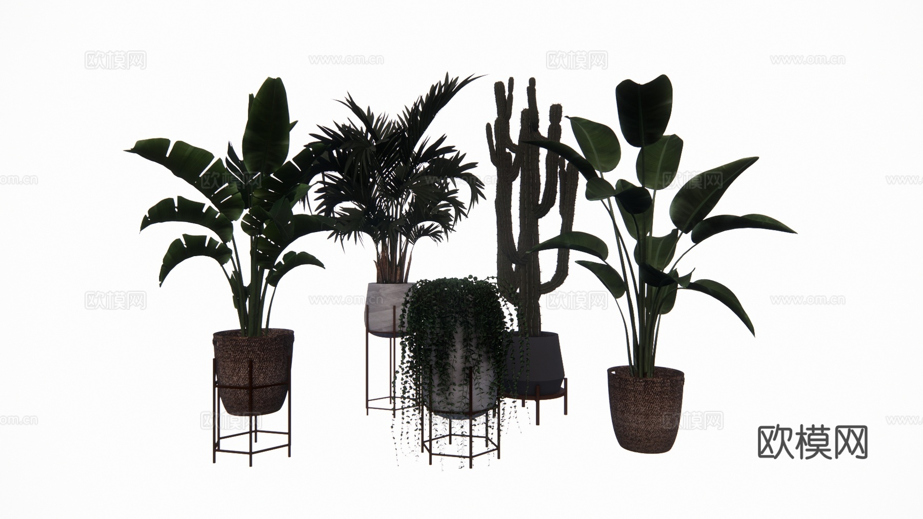 植物 乔木 花镜 室外造景 造景 灌木su模型