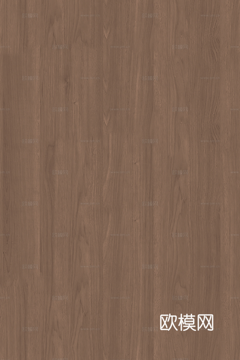 现代中古无缝胡桃木纹木饰面
