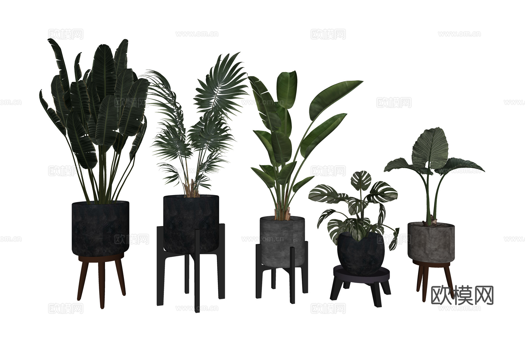 植物 乔木 花镜 室外造景 造景 灌木su模型