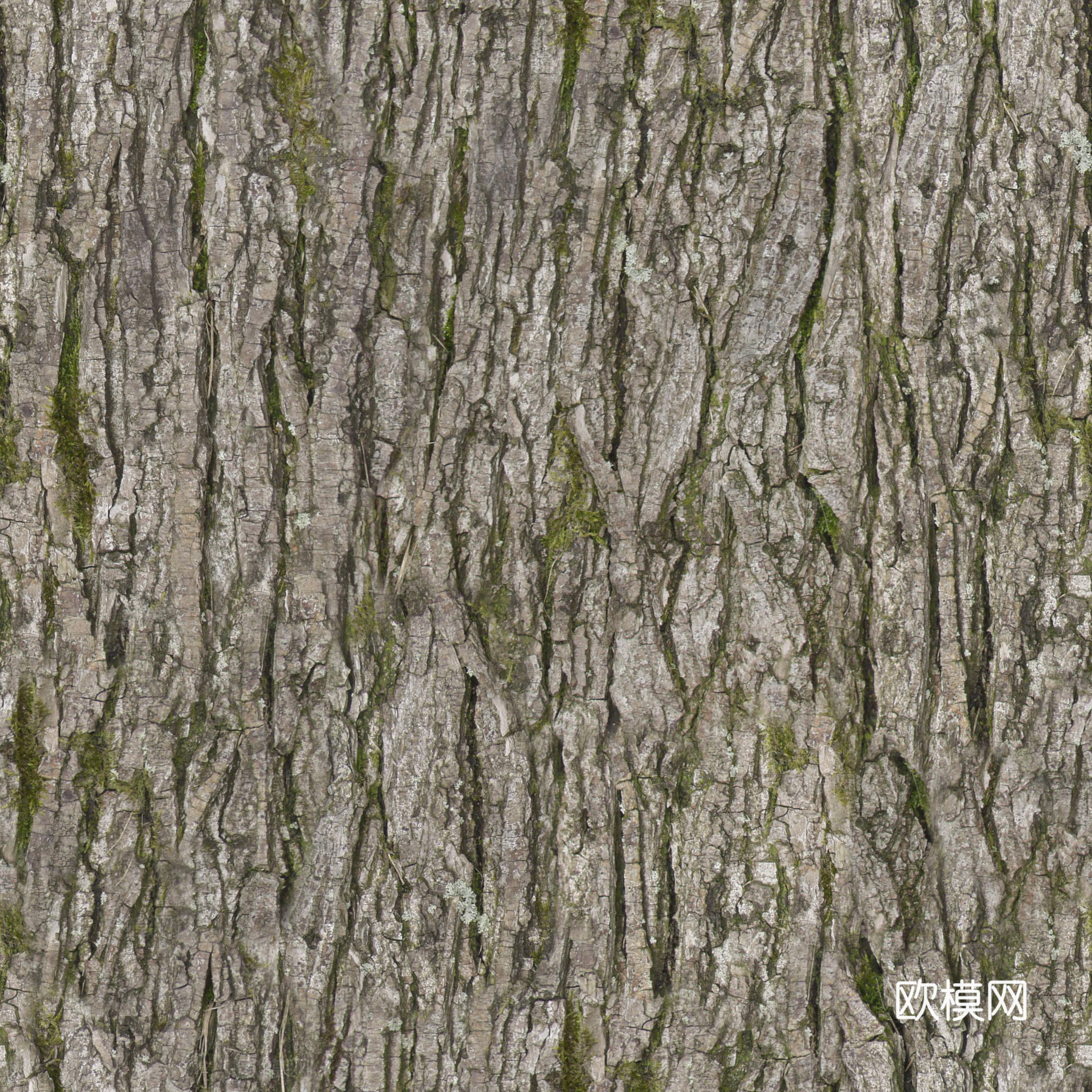 无缝树皮纹理贴图